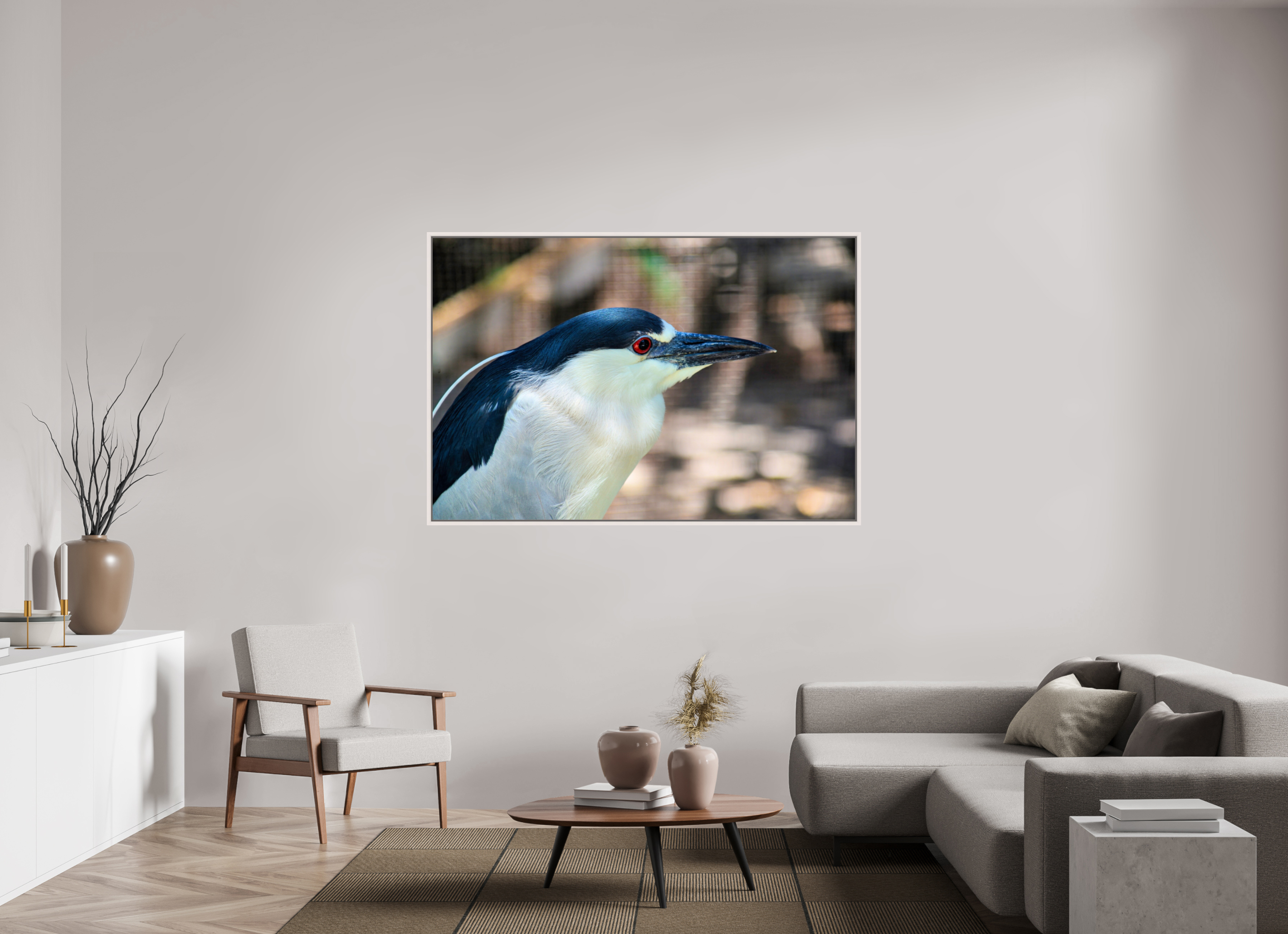 66 x 44″, Floater Frame, Basel 0.6", Maple White, Glossy Acrylic Glass Black-crowned Night Heron
