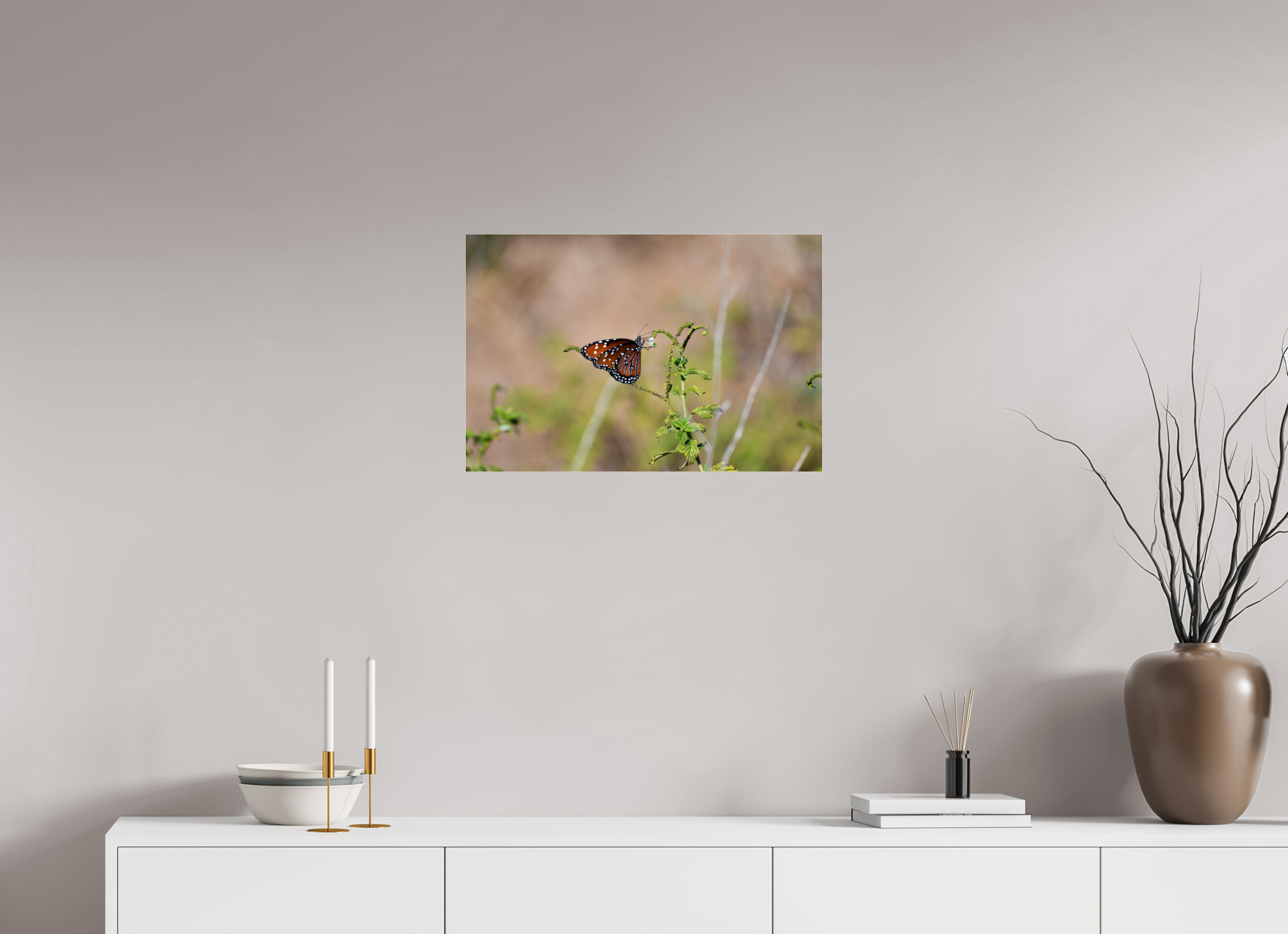 24 x 16″, Photo Print Under Acrylic Glass Queen Butterfly