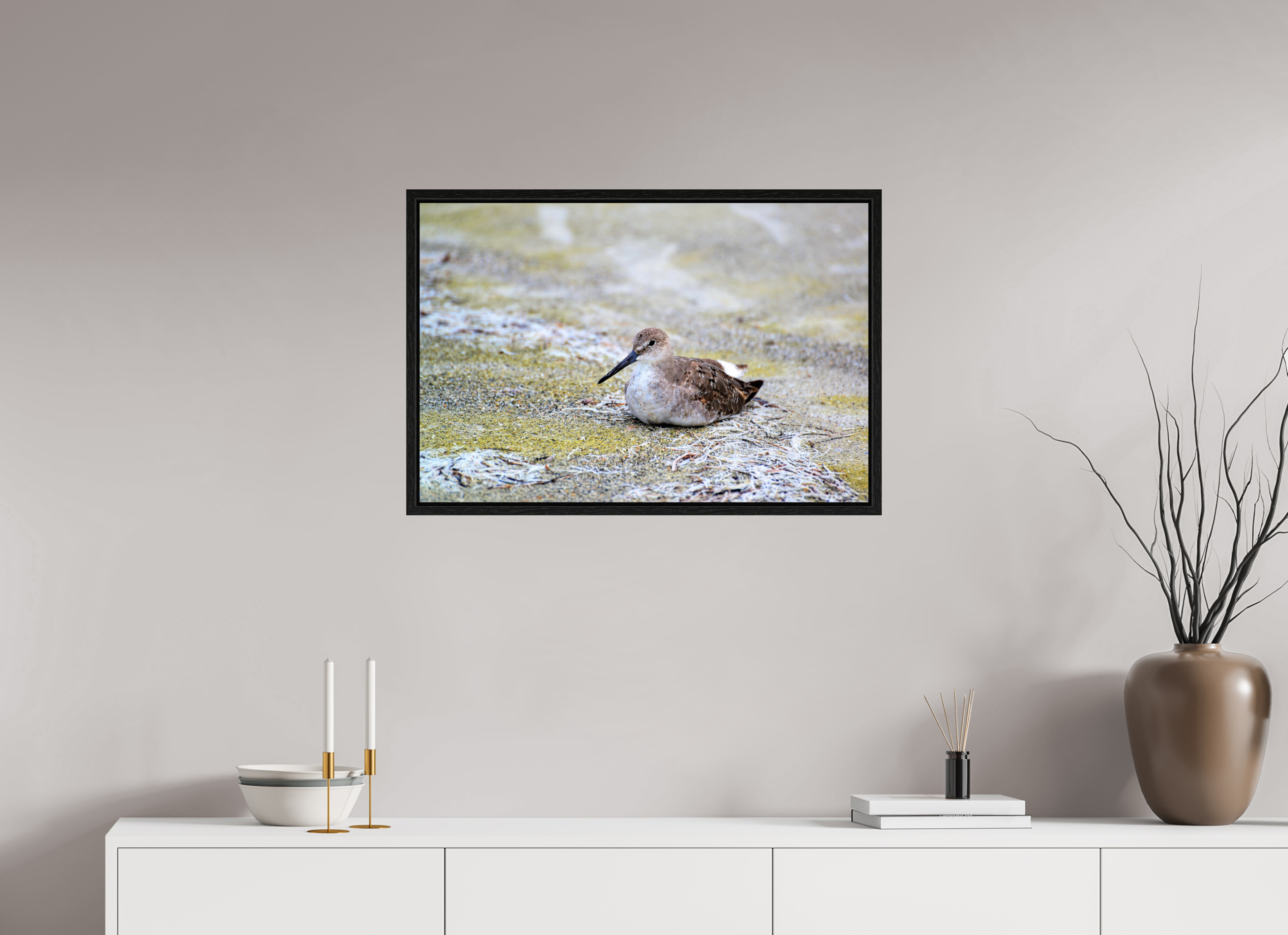 30 x 20″, Floater Frame, Basel 0.6", Black Oak, Glossy Acrylic Glass The Resting Willet