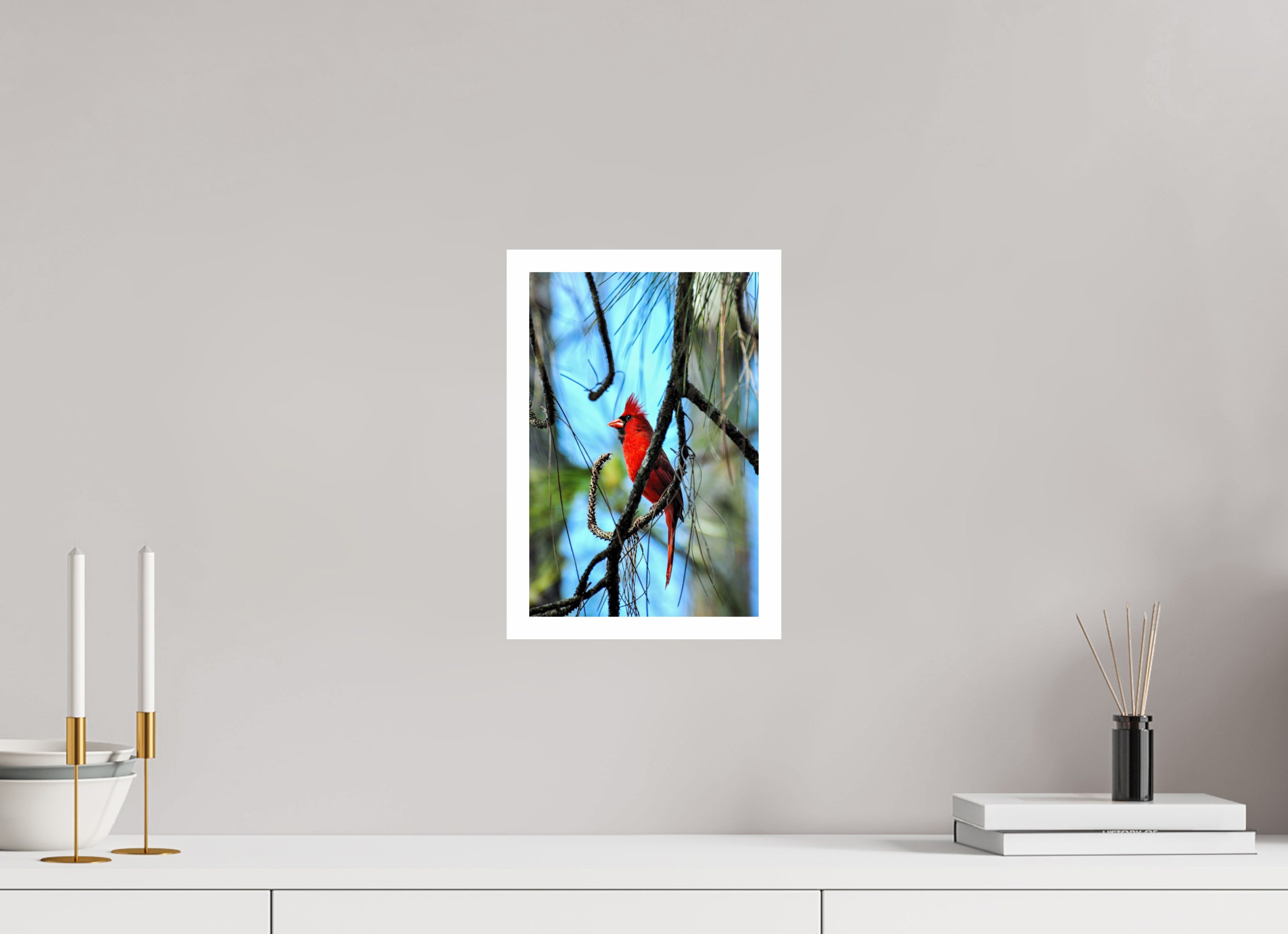 8 x 12″, Hahnemühle FineArt Pearl Print, .79" white border The Corkscrew Cardinal