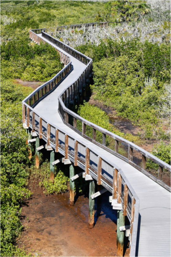 Main image The Winding Way