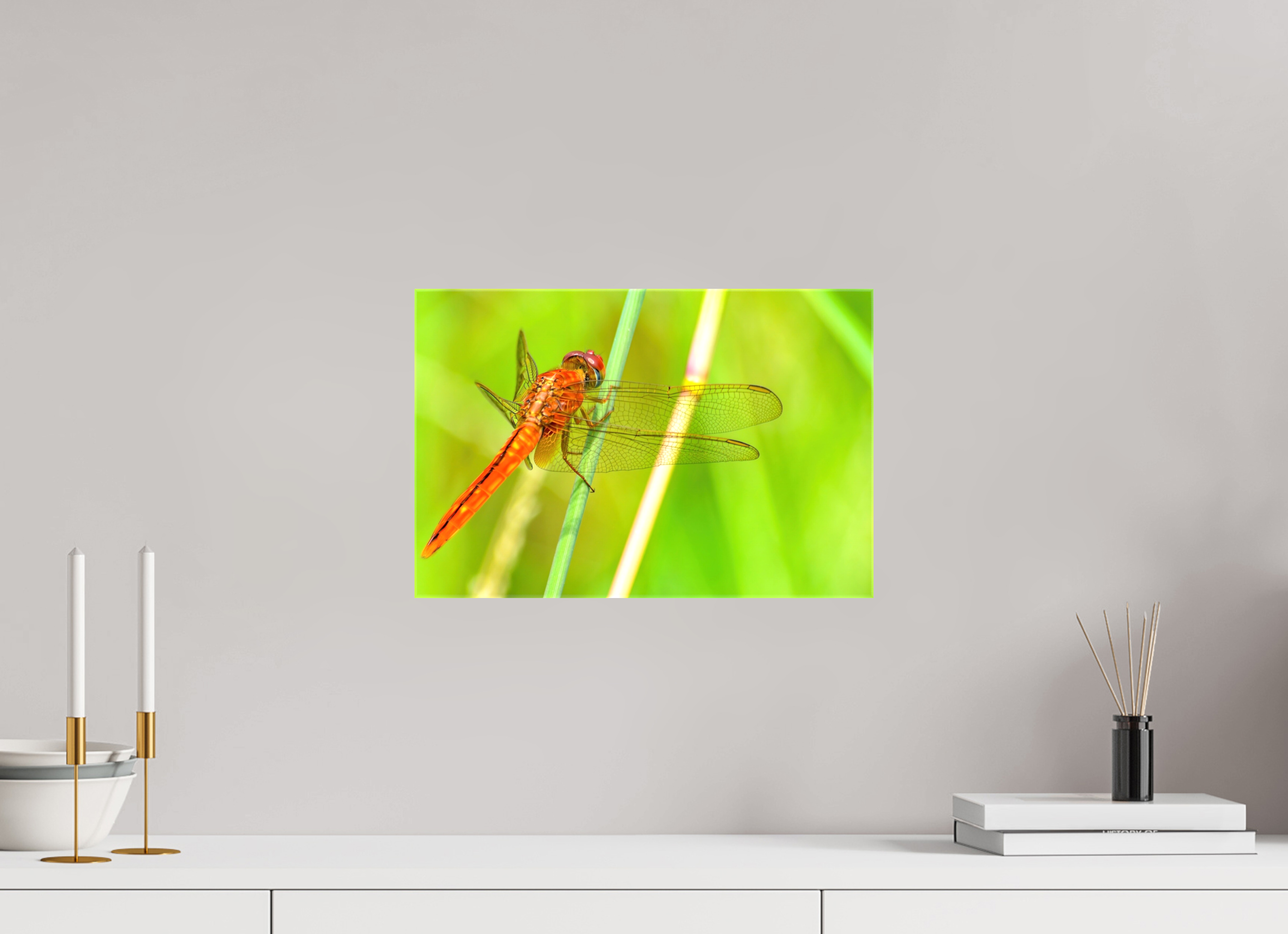 15 x 10″, Glossy Canvas on Stretcher Frame, 1,57" Wrapped Resting Scarlet Skimmer