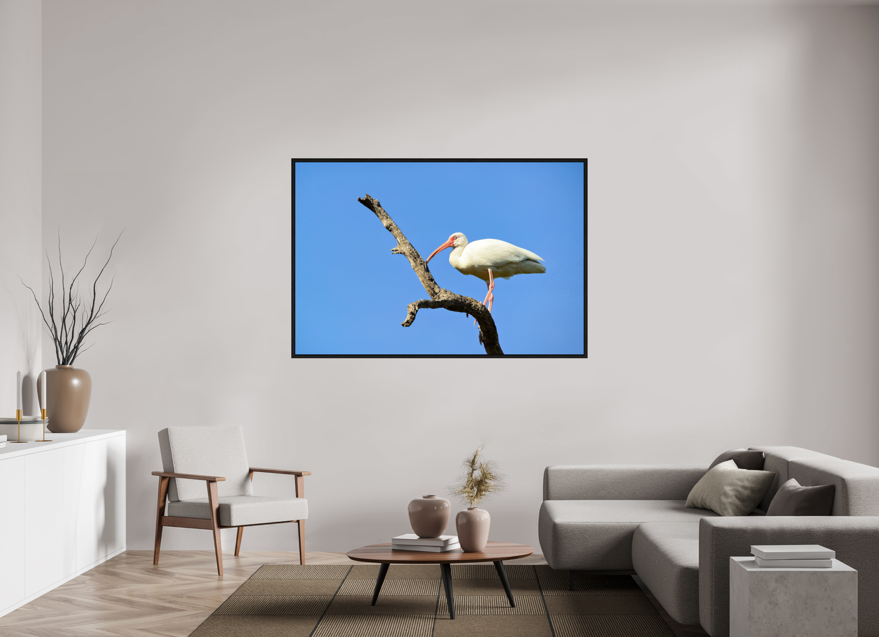 66 x 44″, Floater Frame, Basel 0.6", Black Oak, Glossy Acrylic Glass Azure Solitude: The American White Ibis