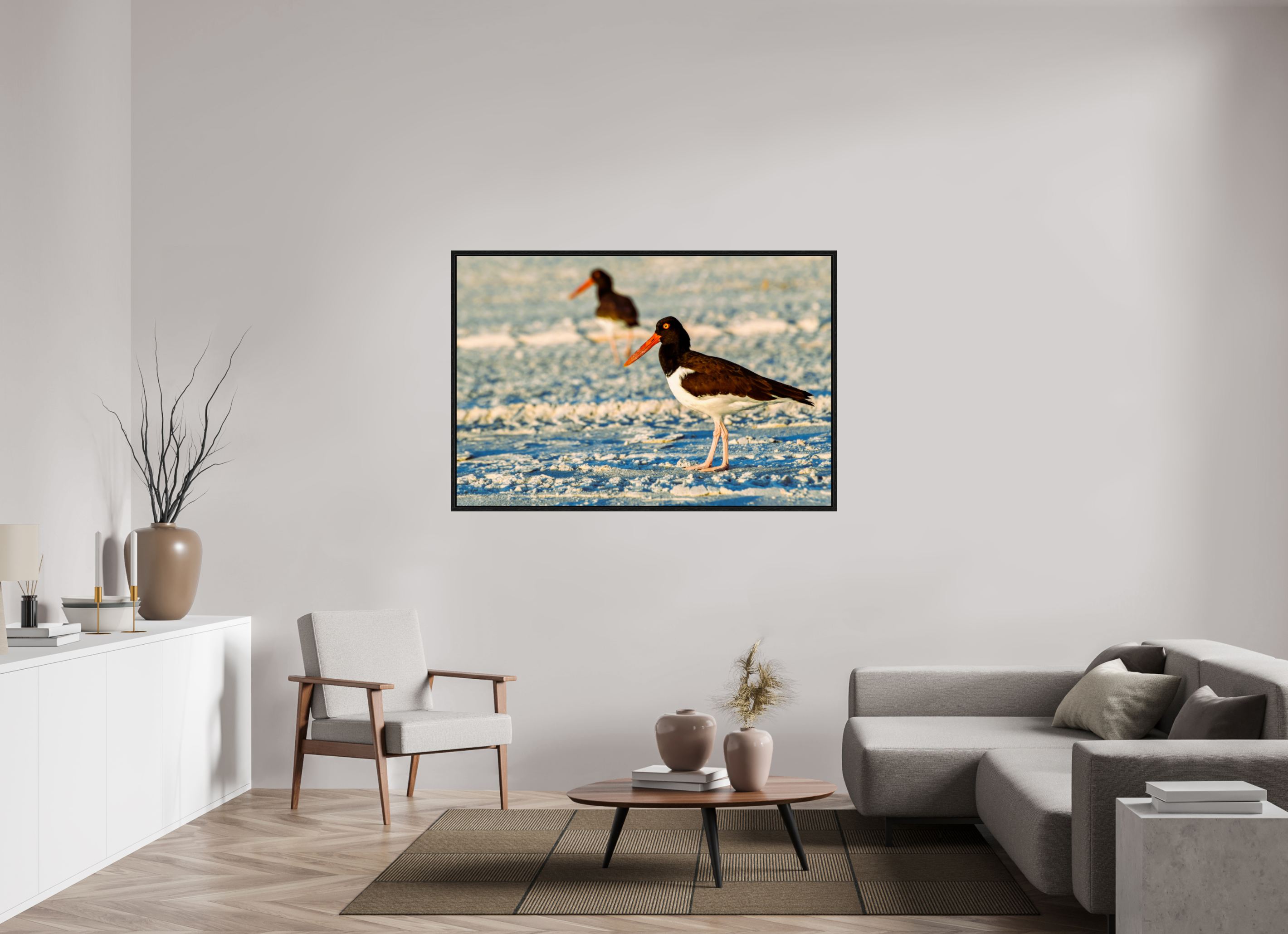60 x 40″, Floater Frame Oystercatcher Stroll