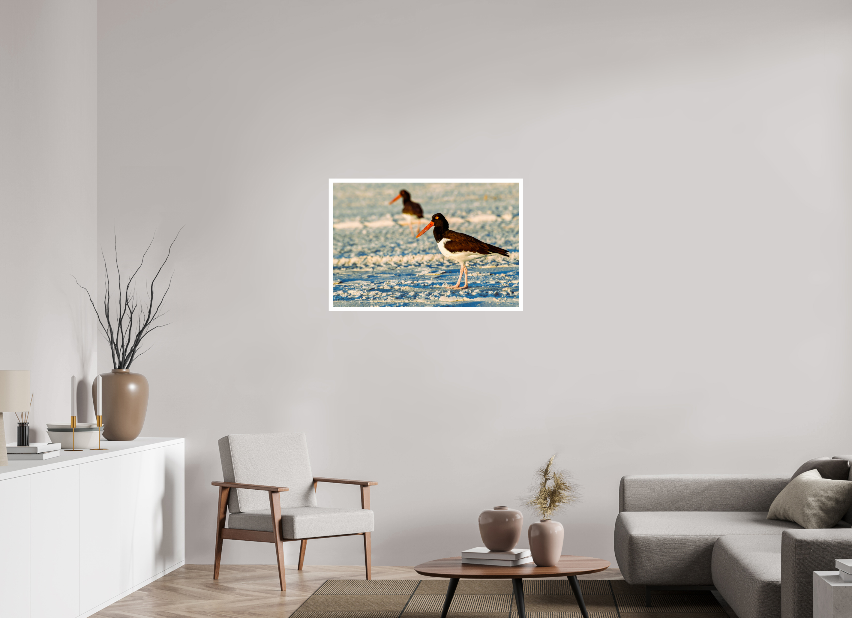 36 x 24″, Hahnemühle FineArt Pearl Print, .79" white border Oystercatcher Stroll