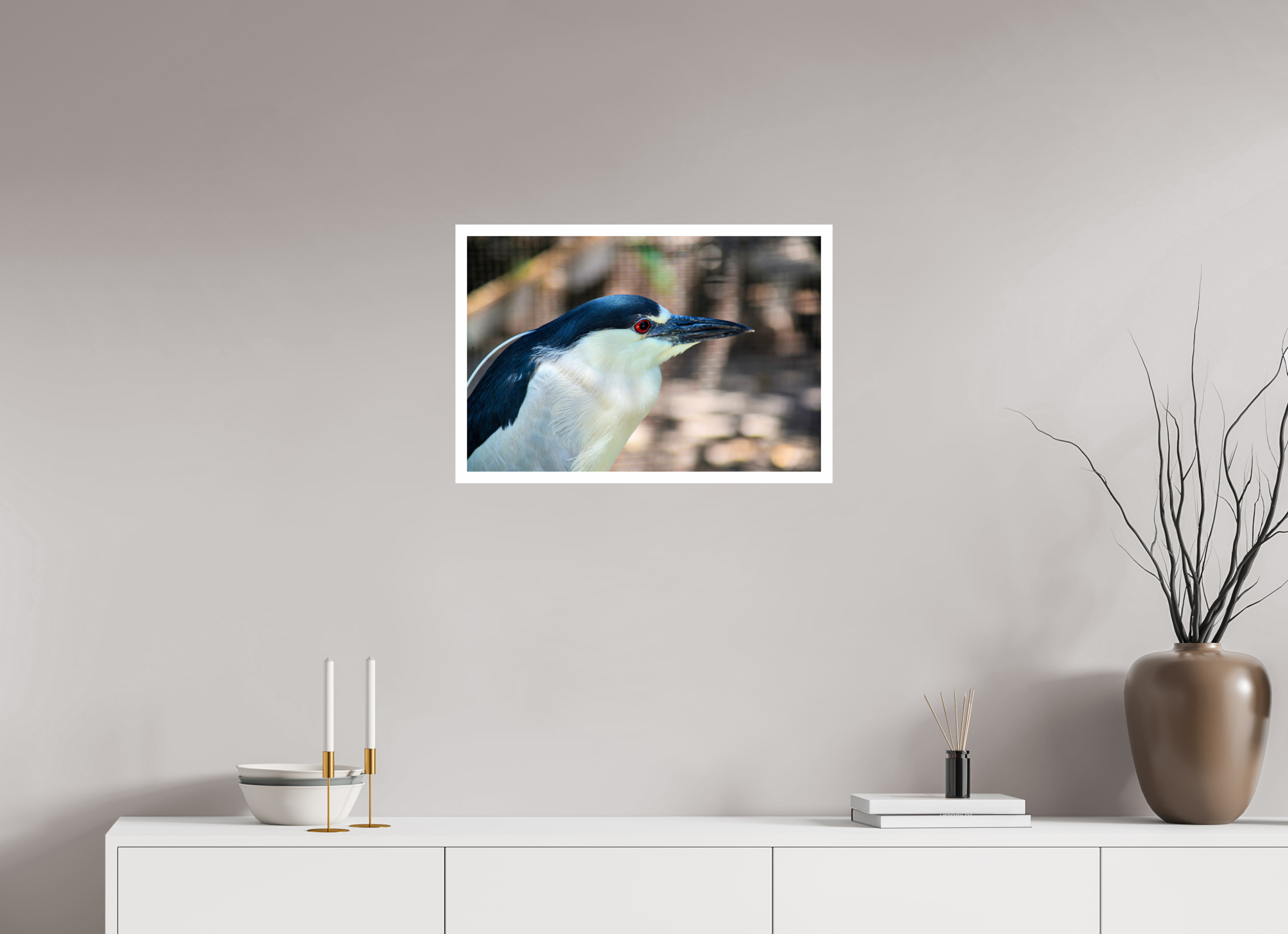 24 x 16″, Hahnemühle FineArt Pearl Print, .79" white border Black-crowned Night Heron