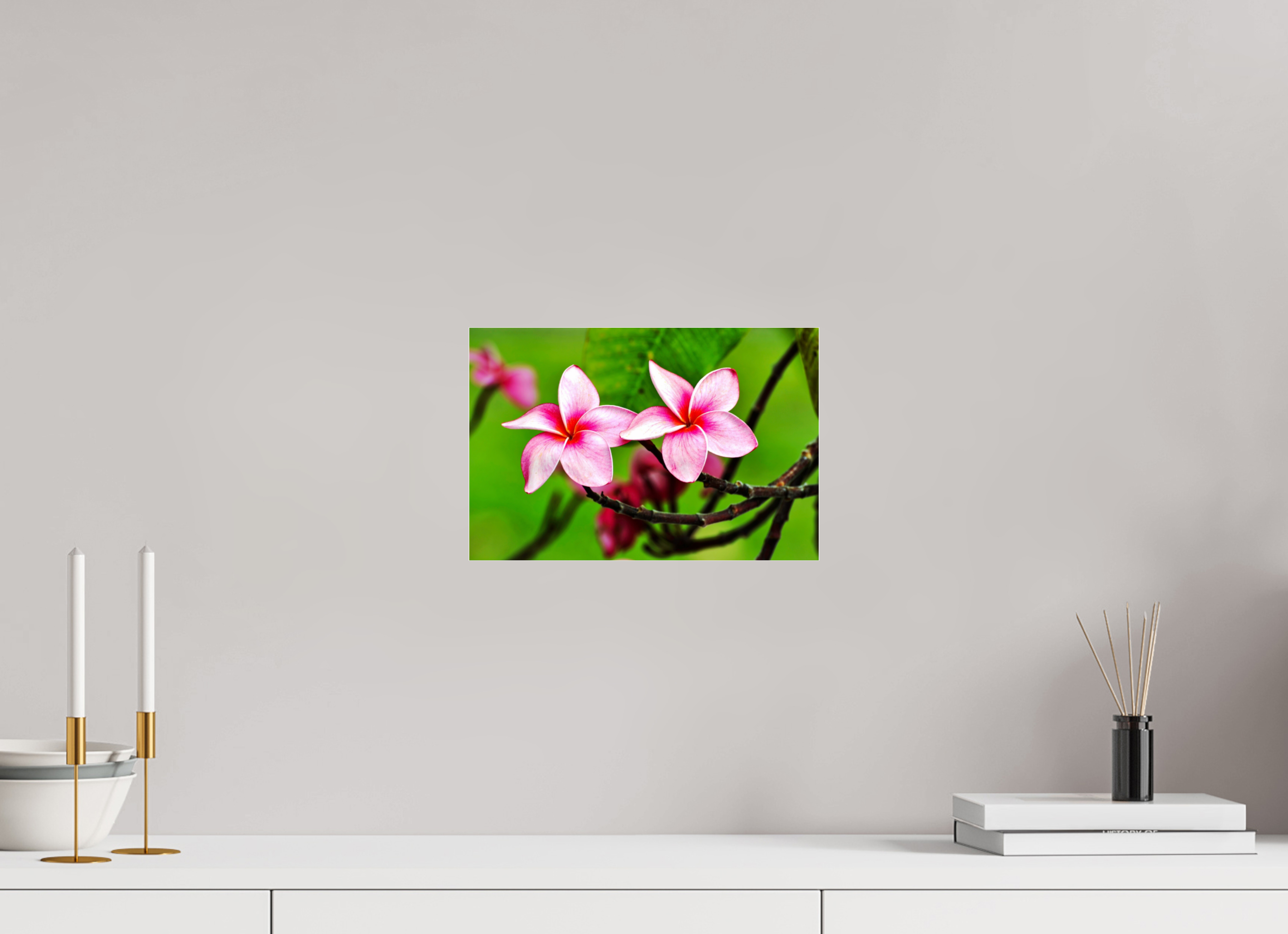12 x 8″, Photo Print Fuji Crystal Archive Under Acrylic Glass Pink Plumeria Rubra (Frangipani)
