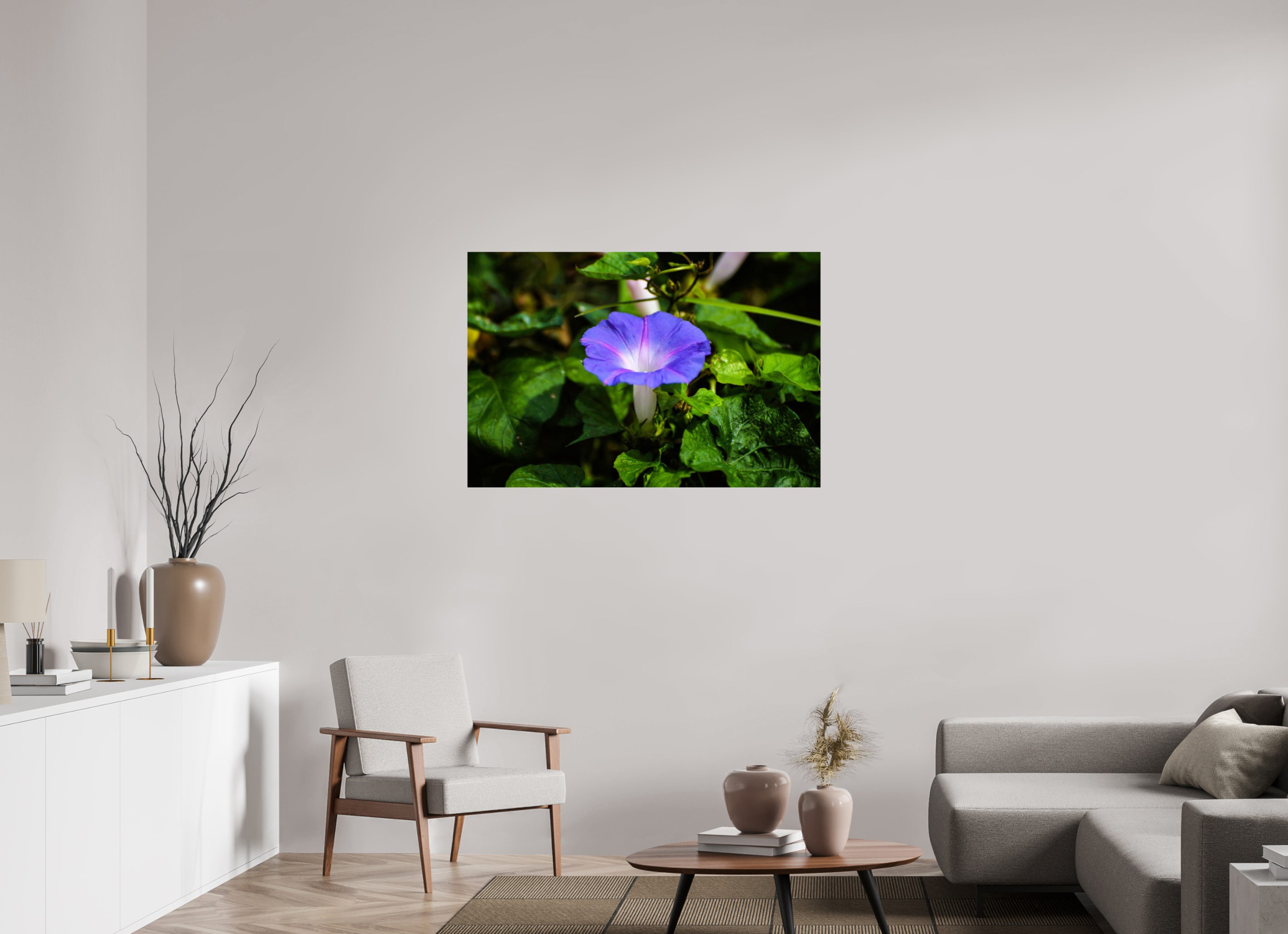 45 x 30″, Metallic Photo Print Under Acrylic Glass Heavenly Blue Morning Glory