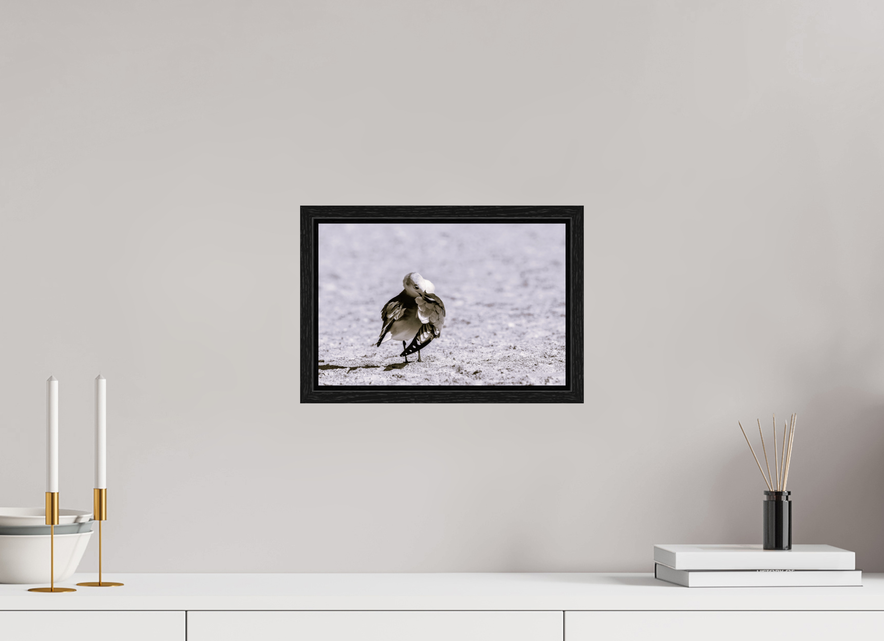 12.2 x 8″, Floater Frame A Monochrome Gull Preening