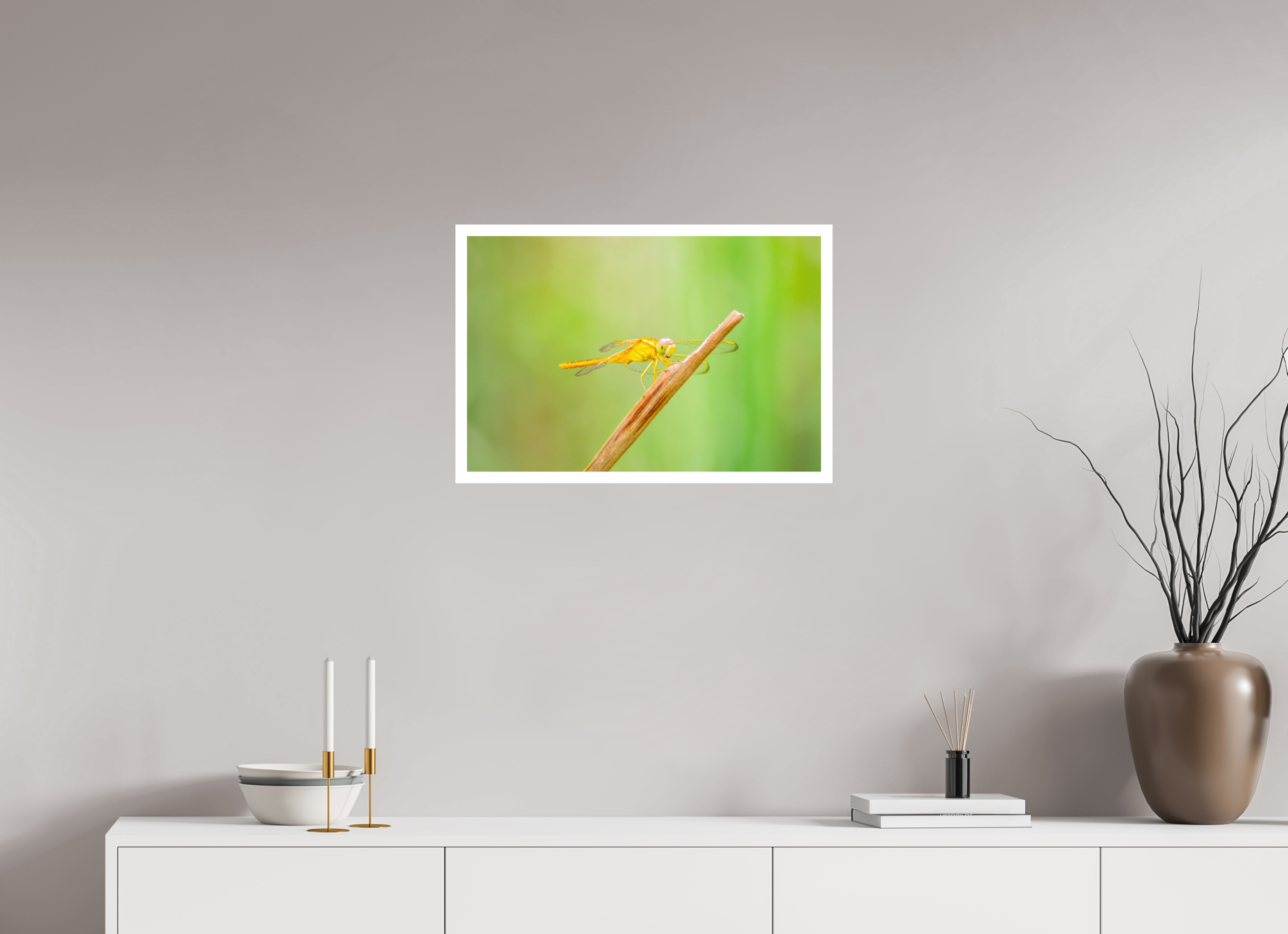 24 x 16″, Hahnemühle FineArt Pearl Print, .79" white border Sun-Drenched Golden Scarlet Skimmer