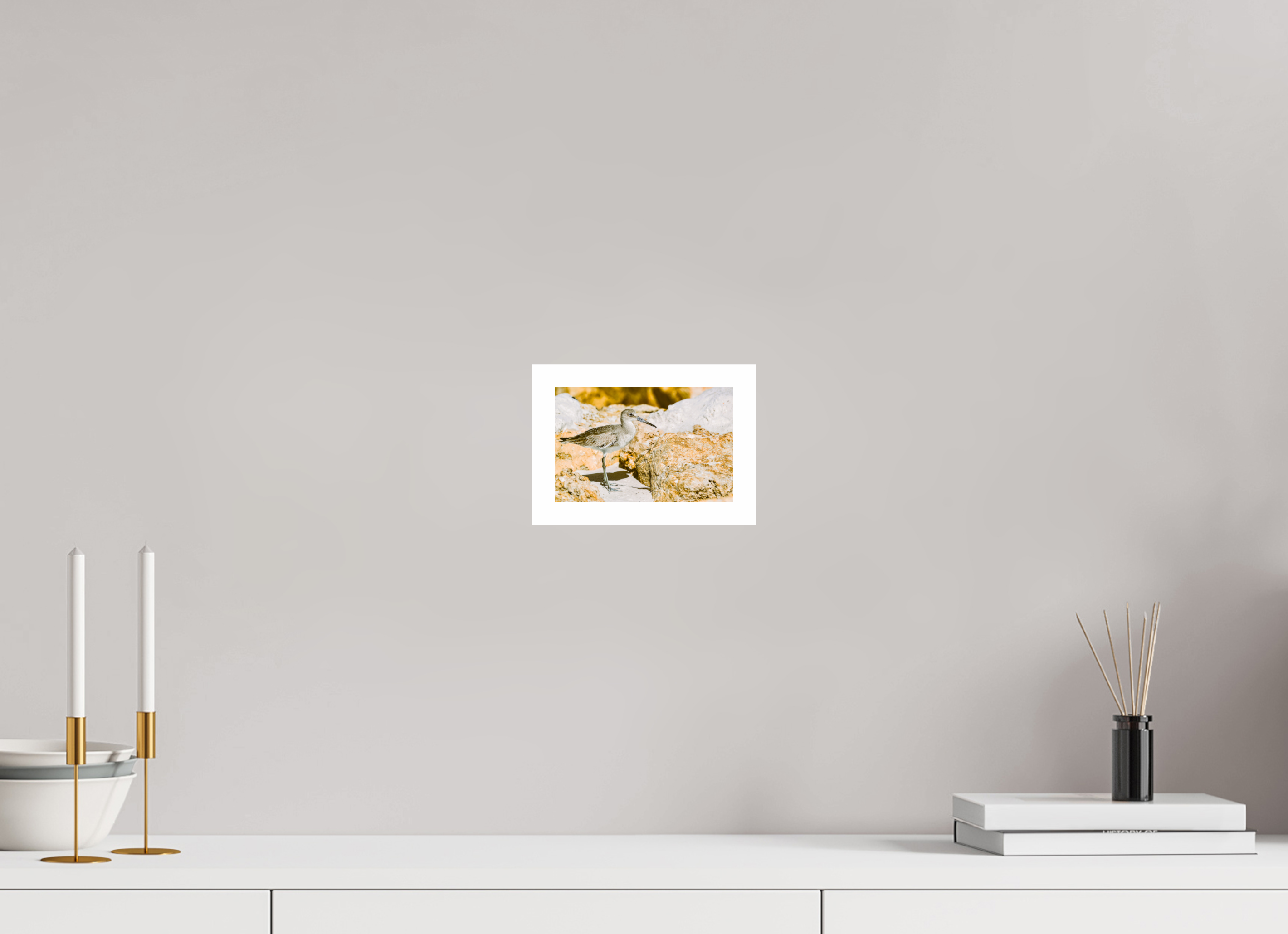 6.2 x 4″, Hahnemühle FineArt Pearl Print, .79" white border The Sunny Willet