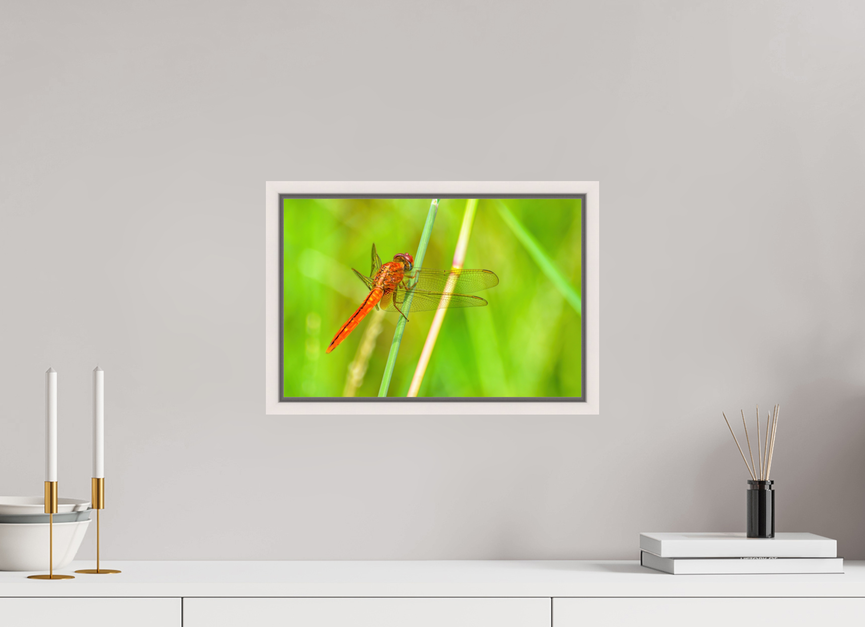15 x 10″, Floater Frame, Basel 0.6", Maple White, Glossy Acrylic Glass Resting Scarlet Skimmer