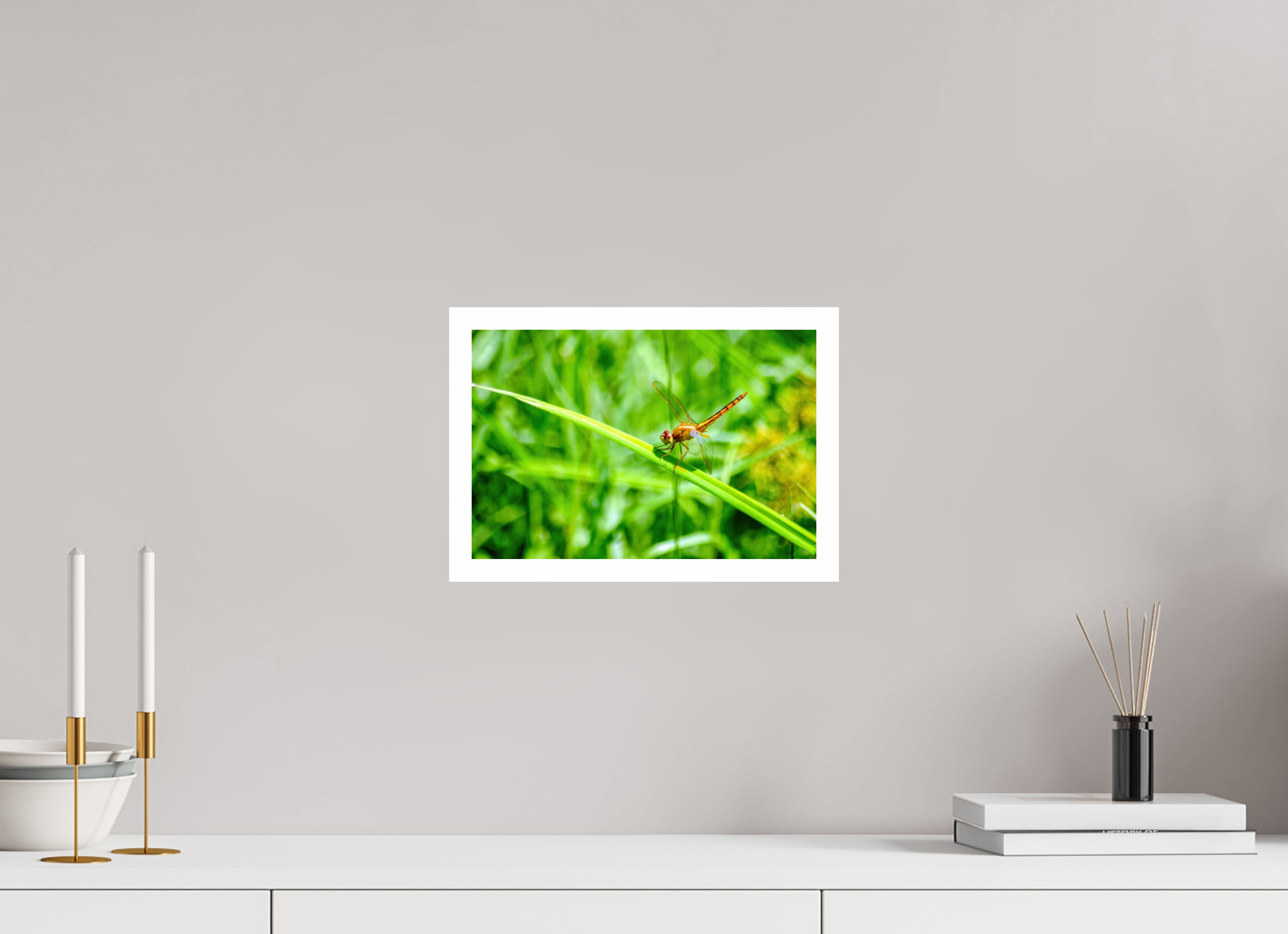 12 x 8″, Hahnemühle FineArt Pearl Print, .79" white border Female Scarlet Skimmer