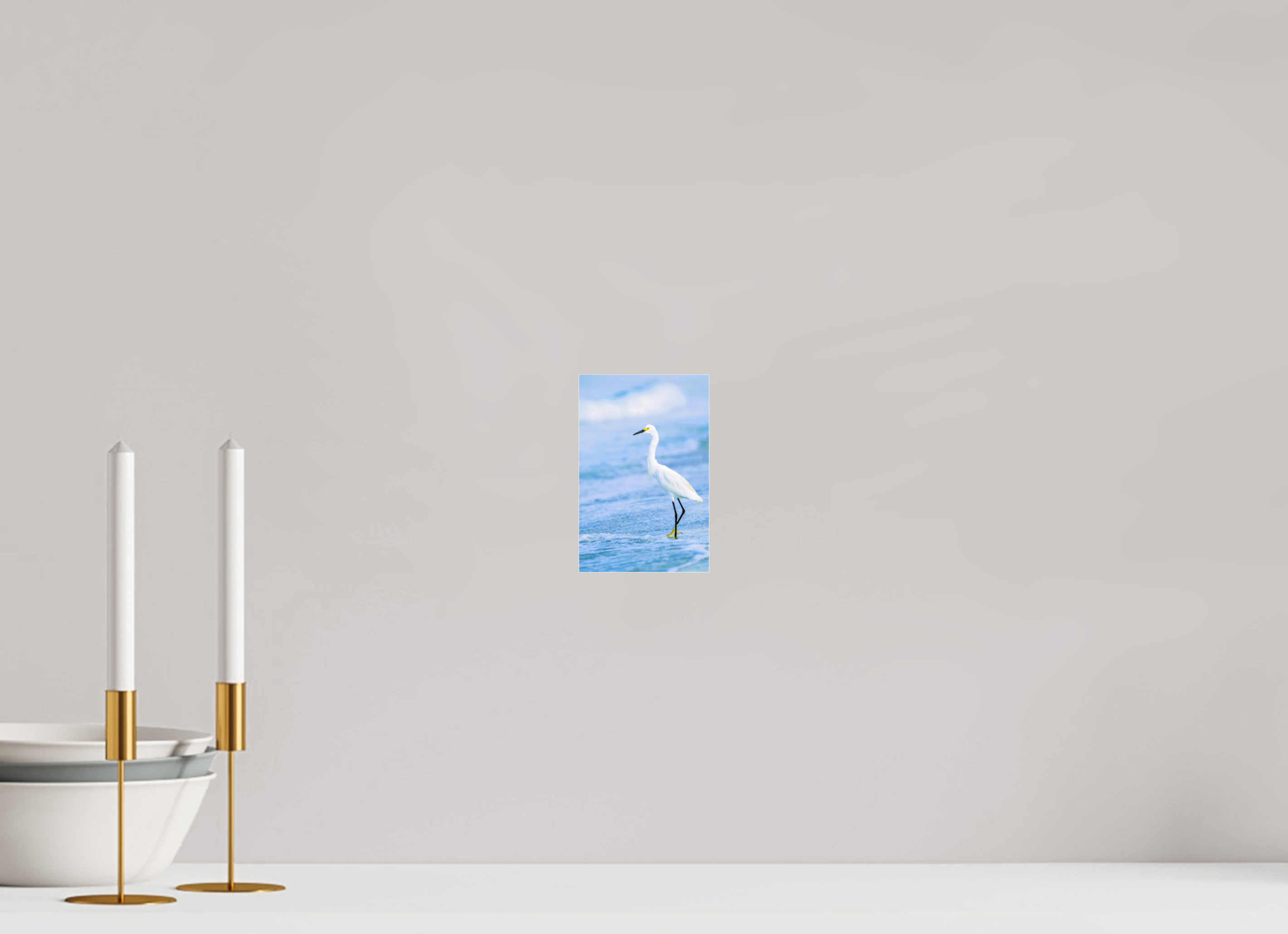 4 x 6.1″, Photo Print Fuji Crystal Archive Under Acrylic Glass Snowy Egret in Azure