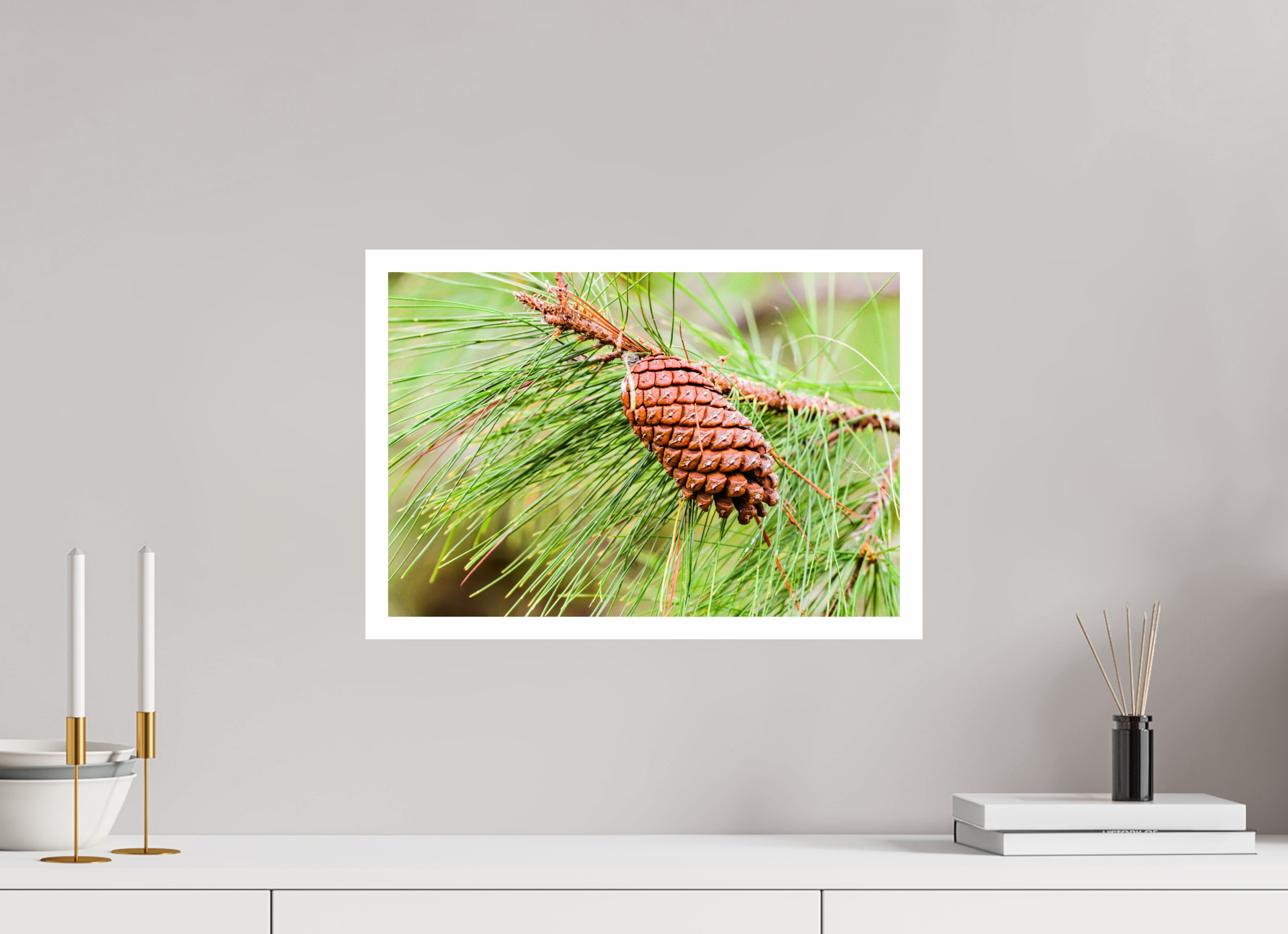 17.8 x 12″, Hahnemühle FineArt Pearl Print, .79" white border The Longleaf Pine Cone