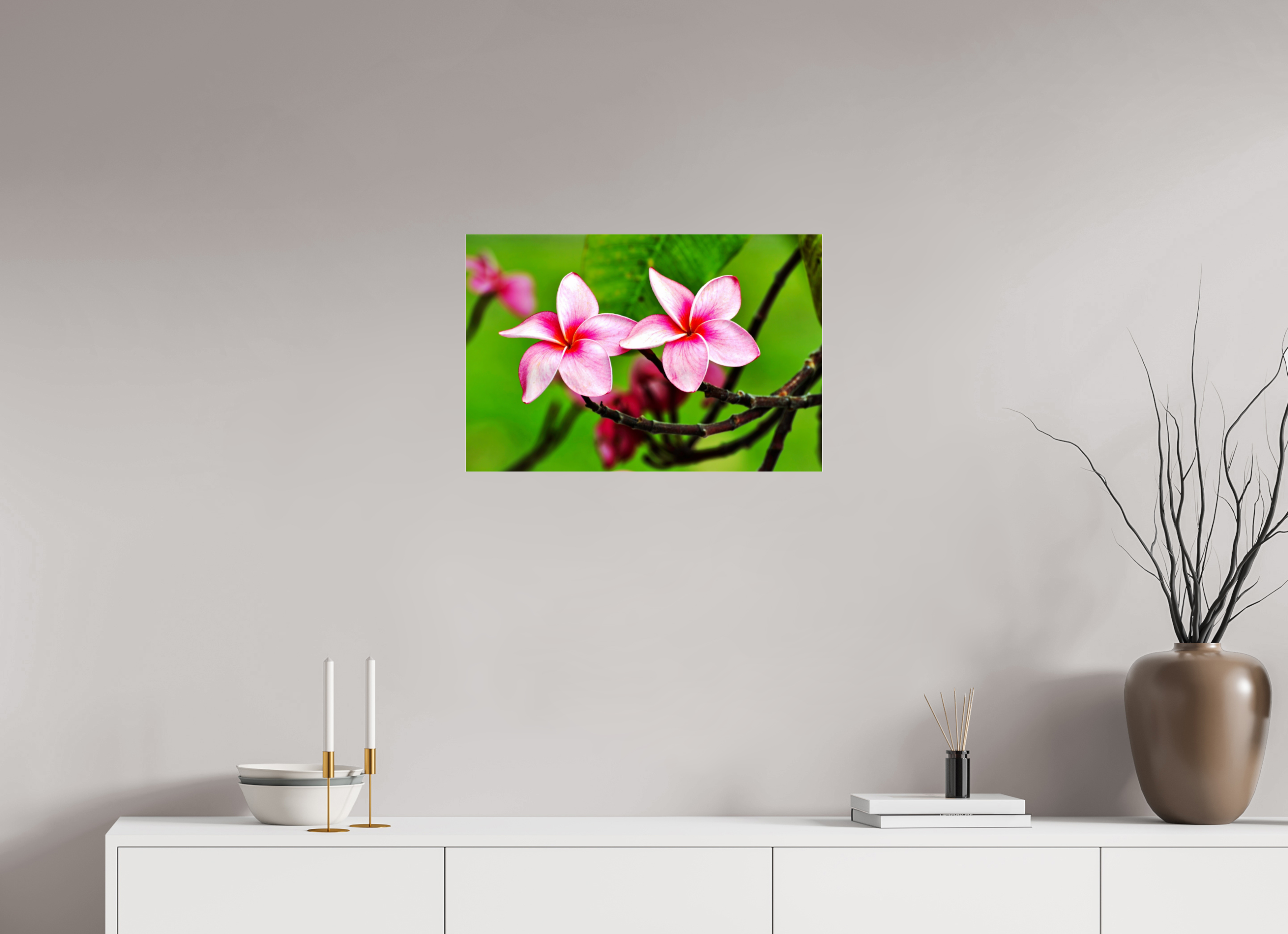 24 x 16″, Photo Print Fuji Crystal Archive Under Acrylic Glass Pink Plumeria Rubra (Frangipani)
