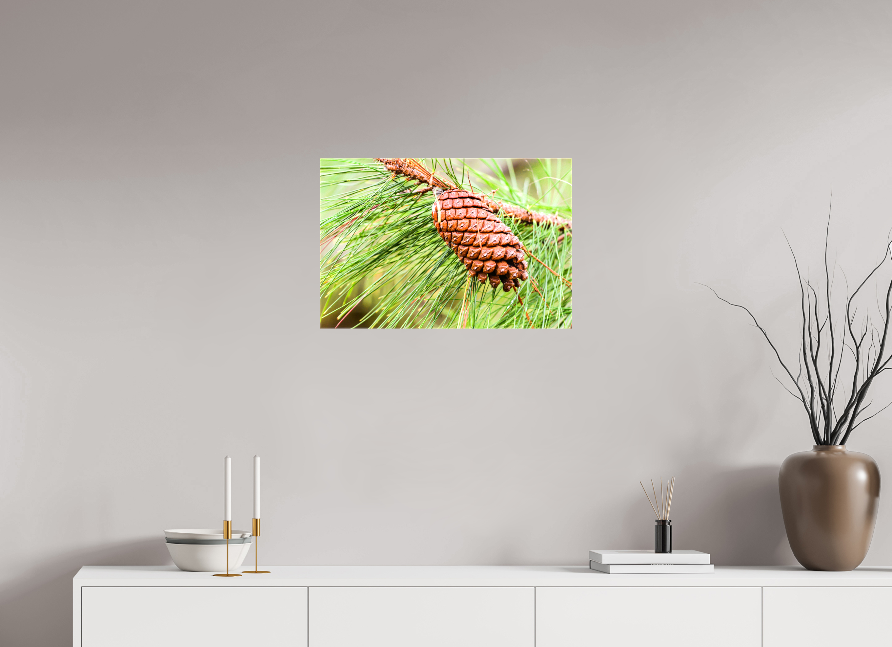 23.8 x 16″, Glossy Canvas on Stretcher Frame, 1,57" Wrapped The Longleaf Pine Cone