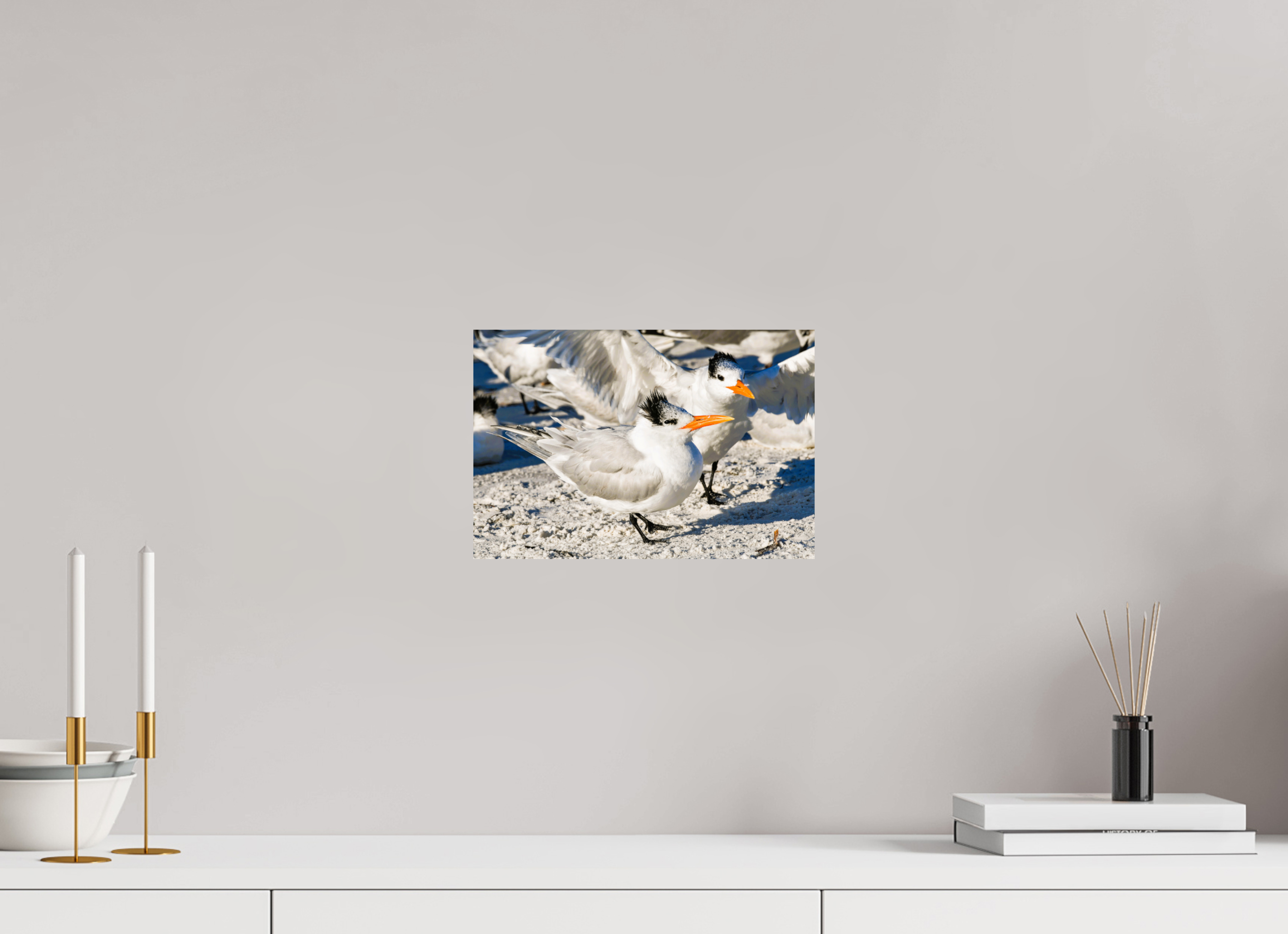 11.9 x 8″, Photo Print On Fuji Crystal DP II Coastal Royalty