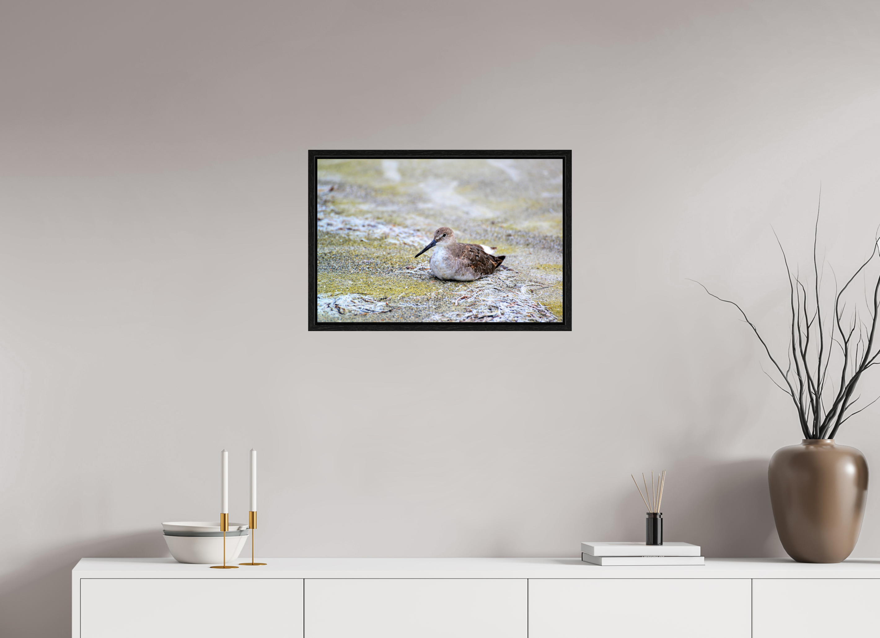 24 x 16″, Floater Frame, Basel 0.6", Black Oak, Glossy Acrylic Glass The Resting Willet