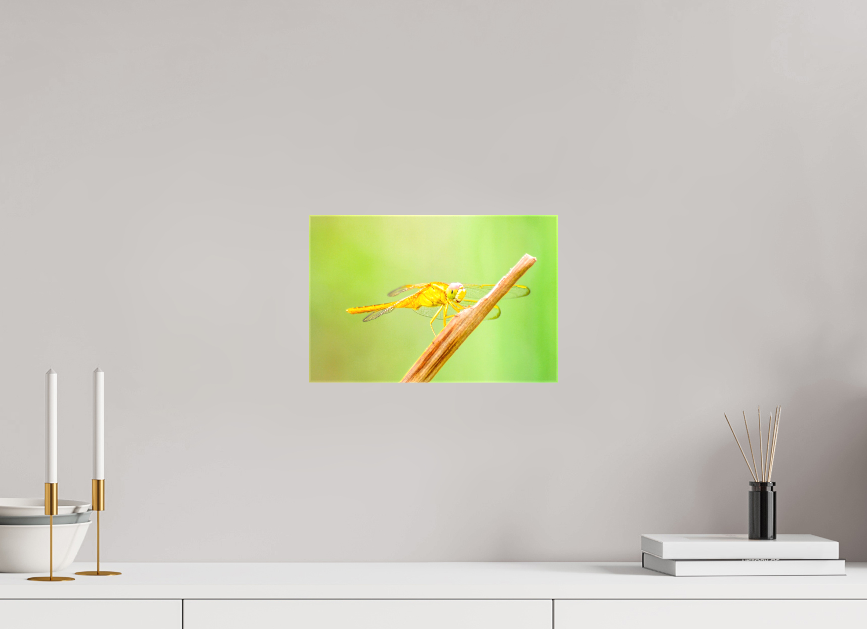 12 x 8″, Glossy Canvas on Stretcher Frame, 1,57" Wrapped Sun-Drenched Golden Scarlet Skimmer