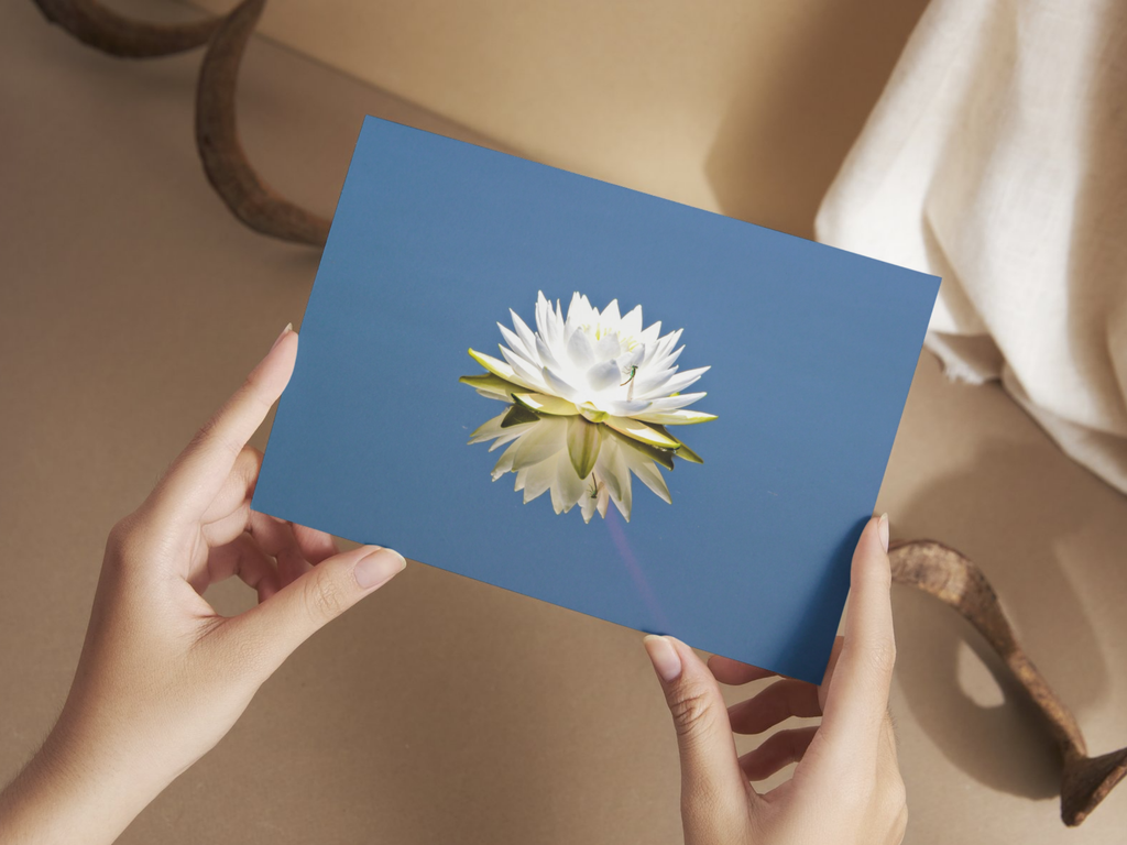 1ee1891a-a557-44f5-8de1-1c6555f65cae