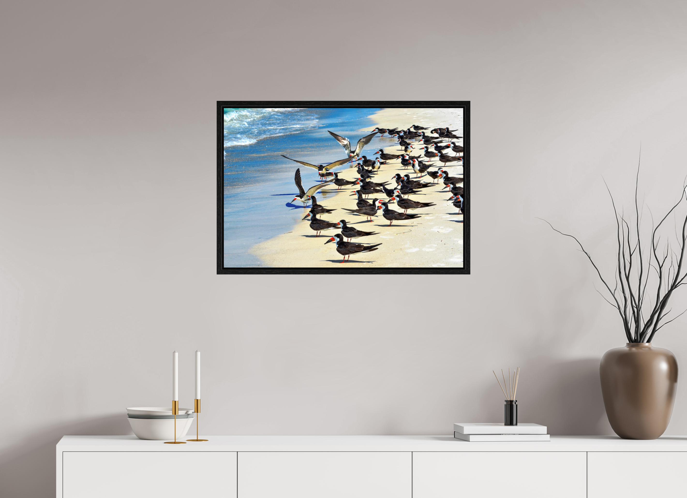 30 x 20″, Floater Frame, Basel 0.6", Black Oak, Glossy Acrylic Glass Shoreline Social: Black Skimmer Colony