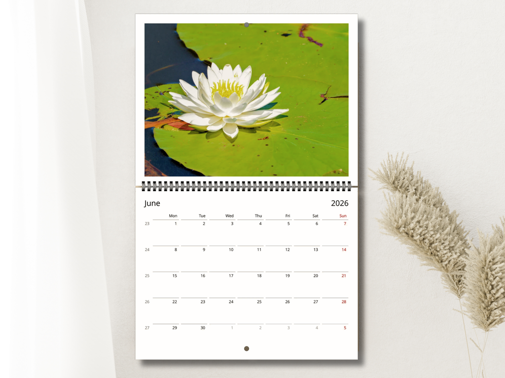 1faaa9b2-2255-4602-9e5a-a0c2edd9f607