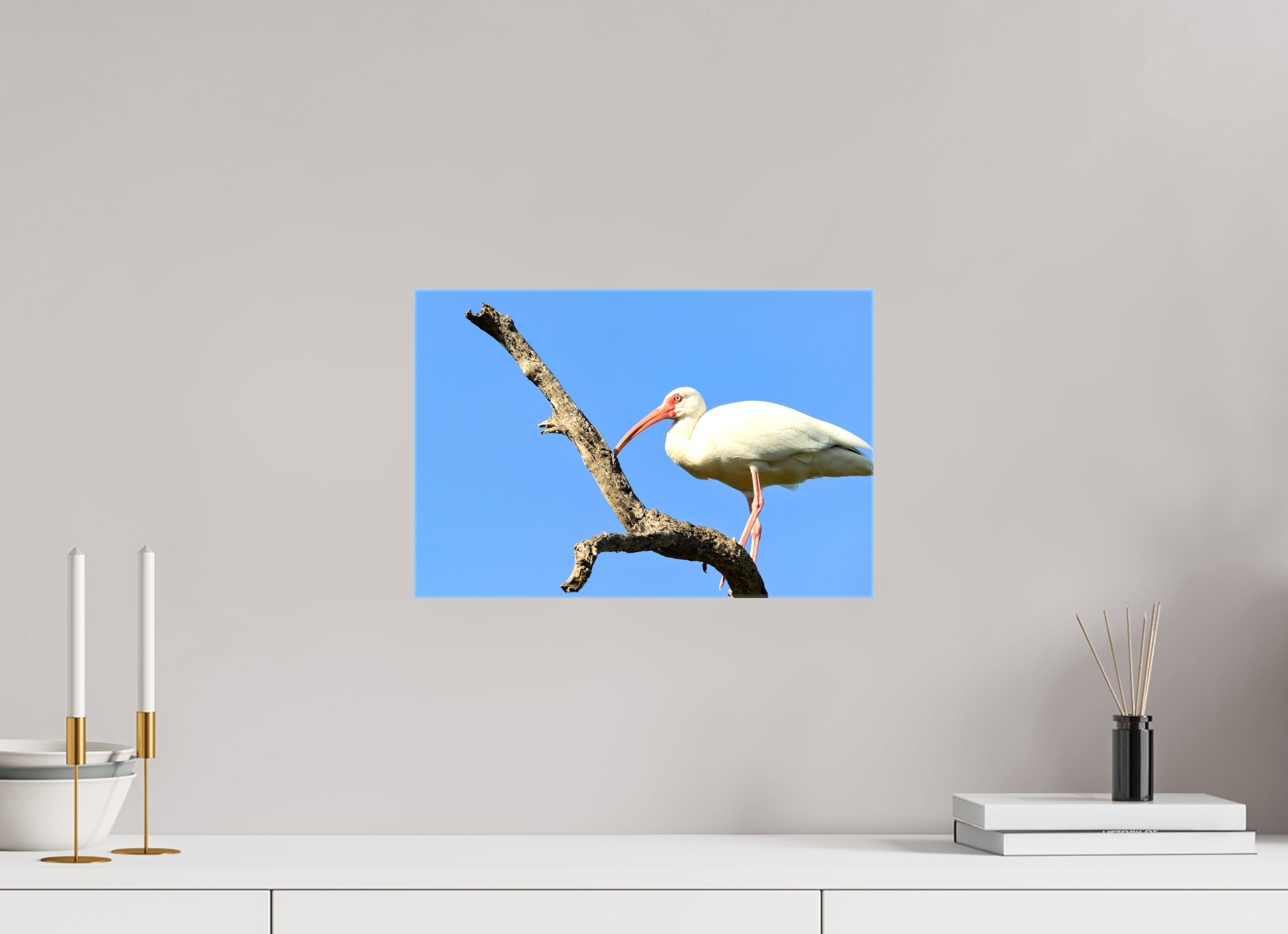 15 x 10″, Glossy Canvas on Stretcher Frame, 1,57" Wrapped Azure Solitude: The American White Ibis