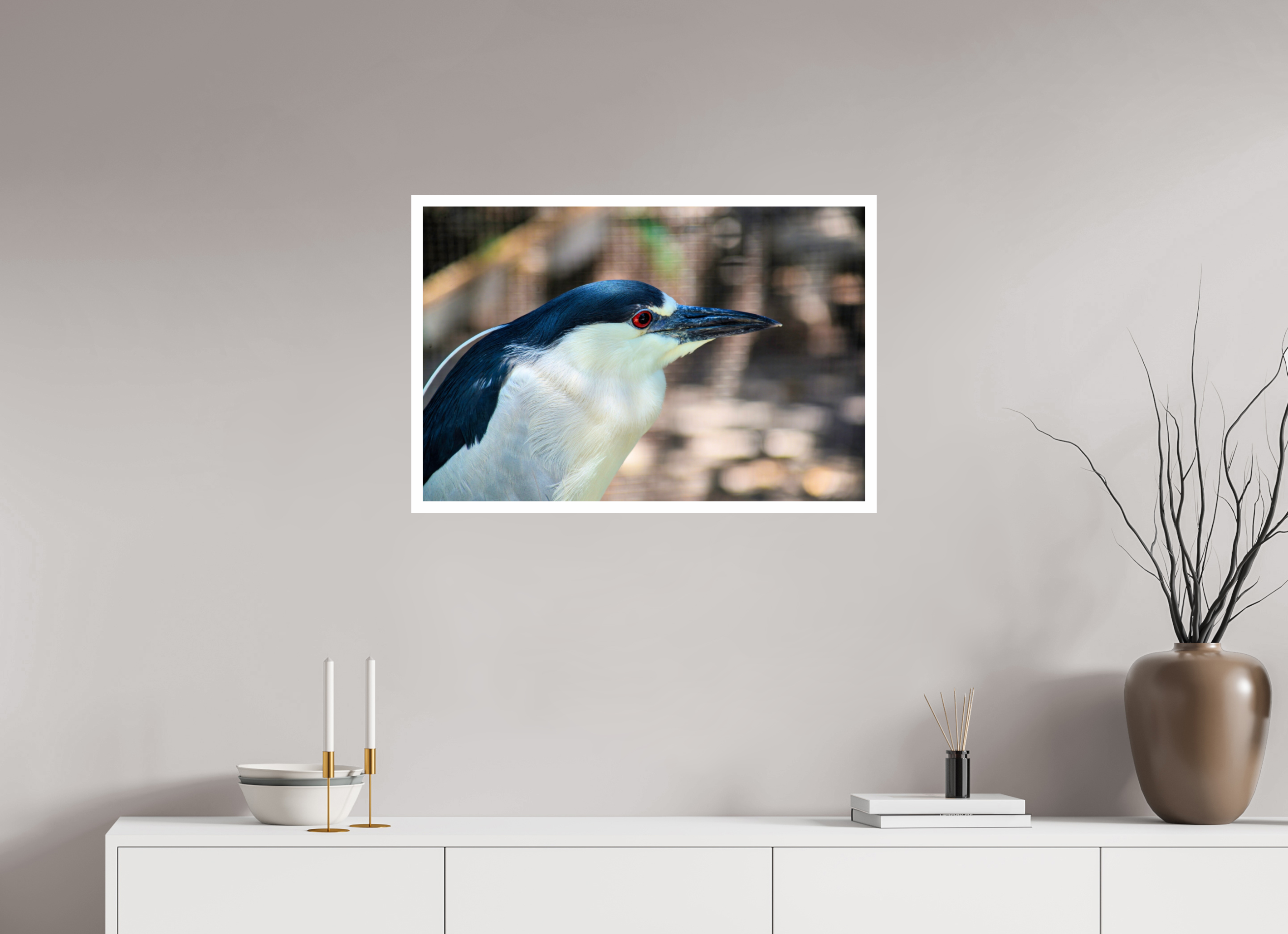 30 x 20″, Hahnemühle FineArt Pearl Print, .79" white border Black-crowned Night Heron
