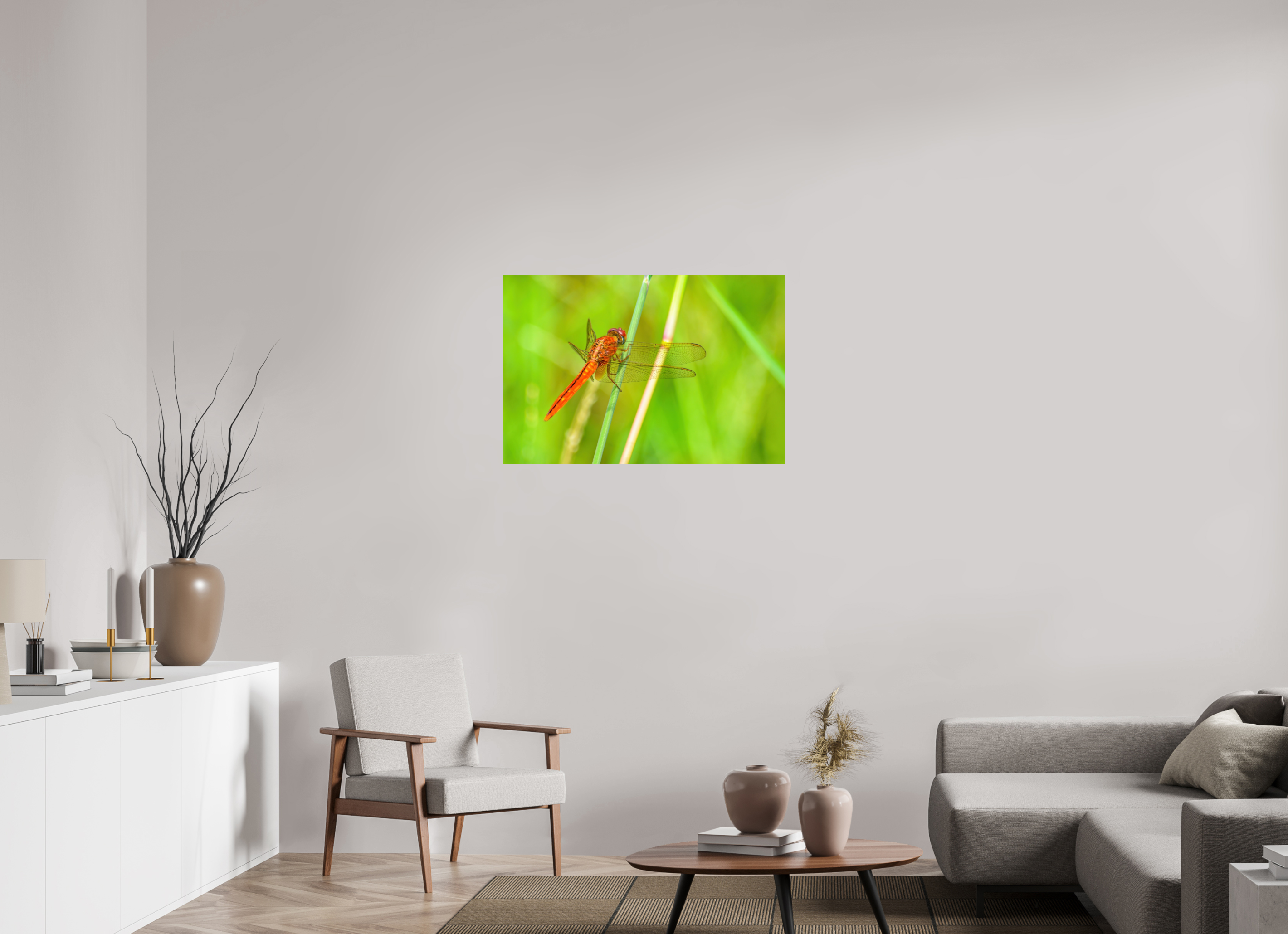 36 x 24″, Metallic Photo Print Under Acrylic Glass Resting Scarlet Skimmer
