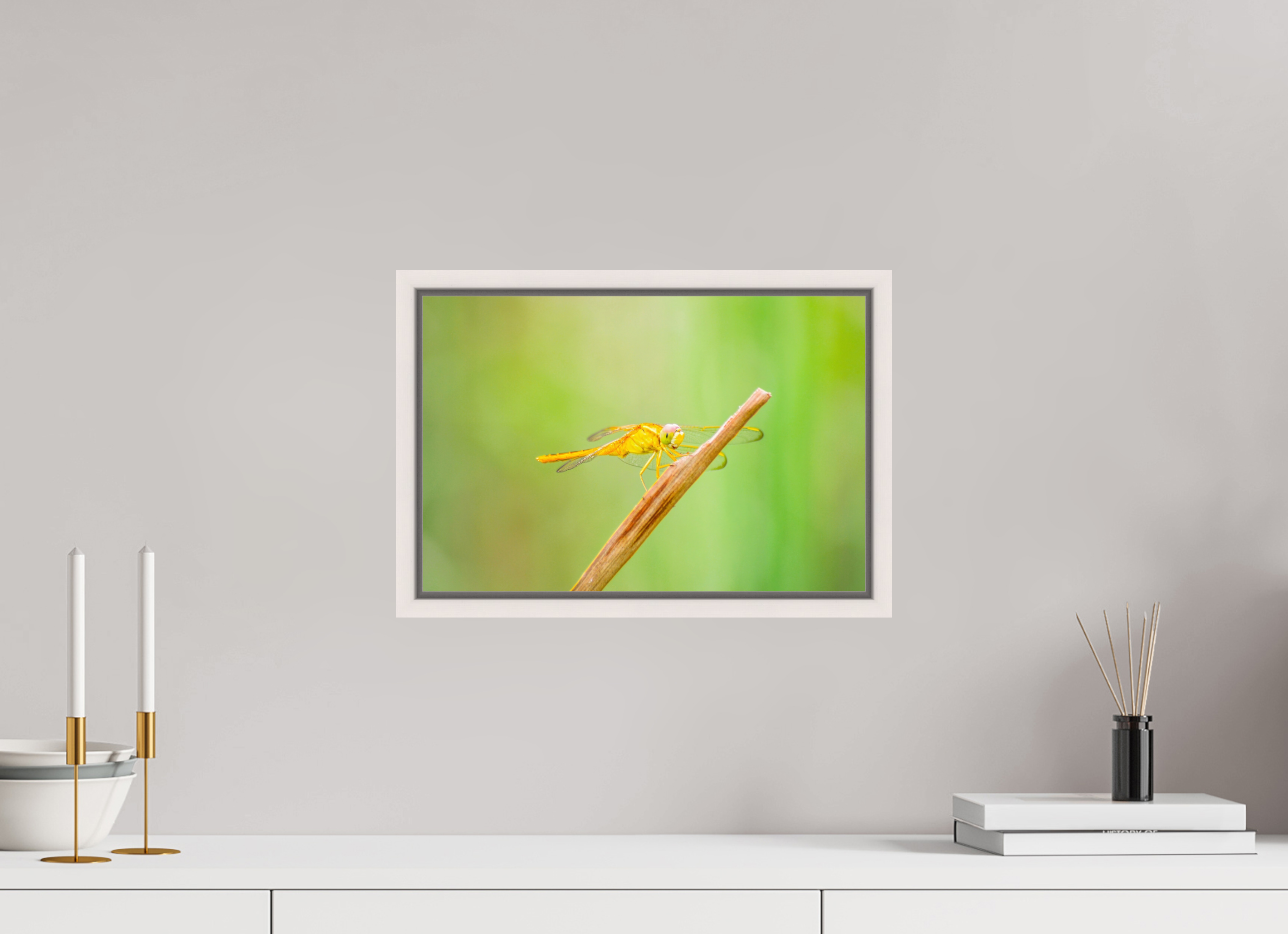 15 x 10″, Floater Frame, Basel 0.6", Maple White, Glossy Acrylic Glass Sun-Drenched Golden Scarlet Skimmer