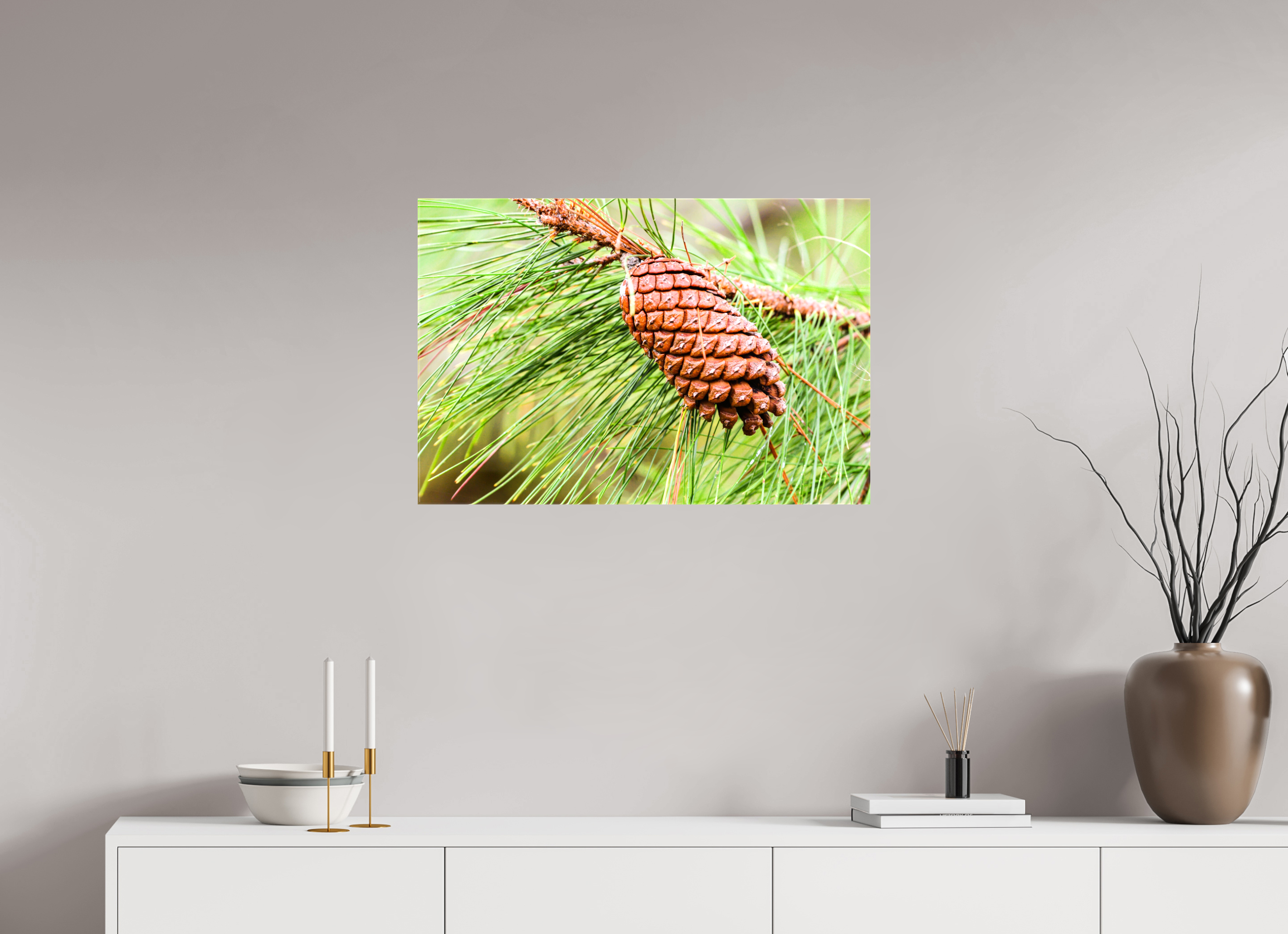 29.7 x 20″, Glossy Canvas on Stretcher Frame, 1,57" Wrapped The Longleaf Pine Cone