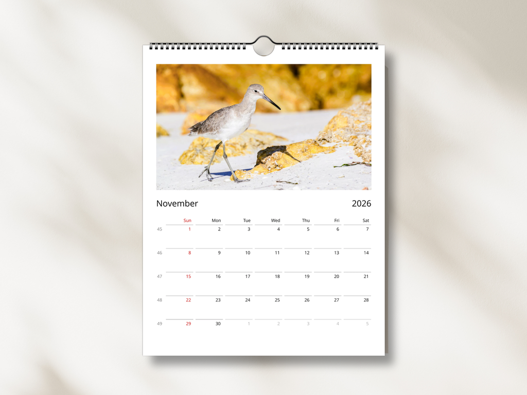 210a64b9-b1ed-489c-b450-647a518a81d2