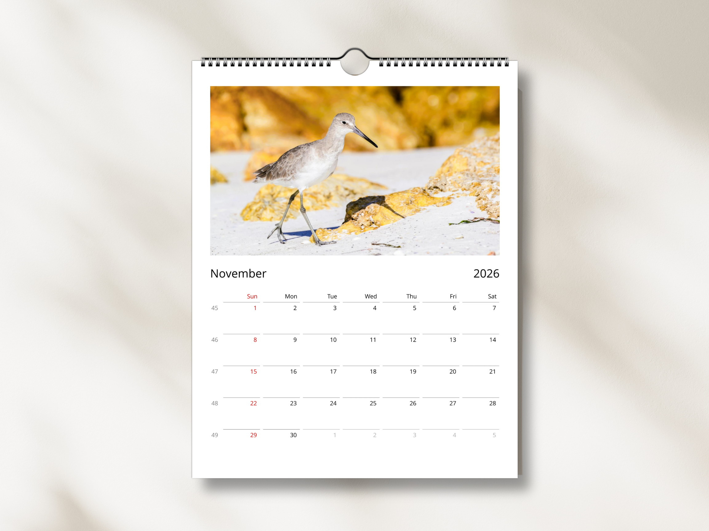 210a64b9-b1ed-489c-b450-647a518a81d2