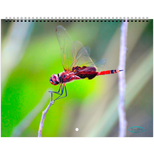 2146cd1d-12c0-4447-a57b-0da7ab07a55b