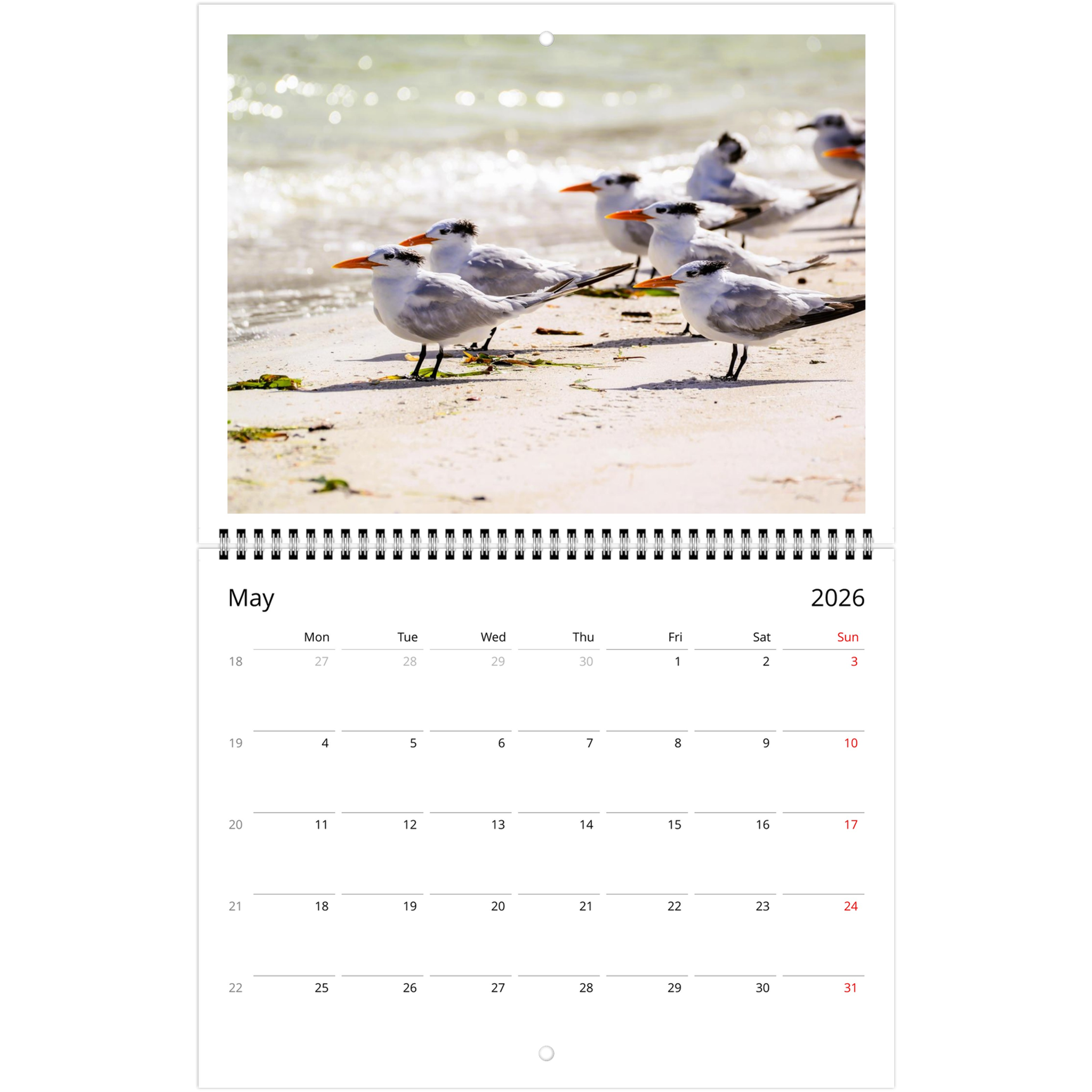 22d9432e-f4e2-474e-99e8-1bee7e6d9f90