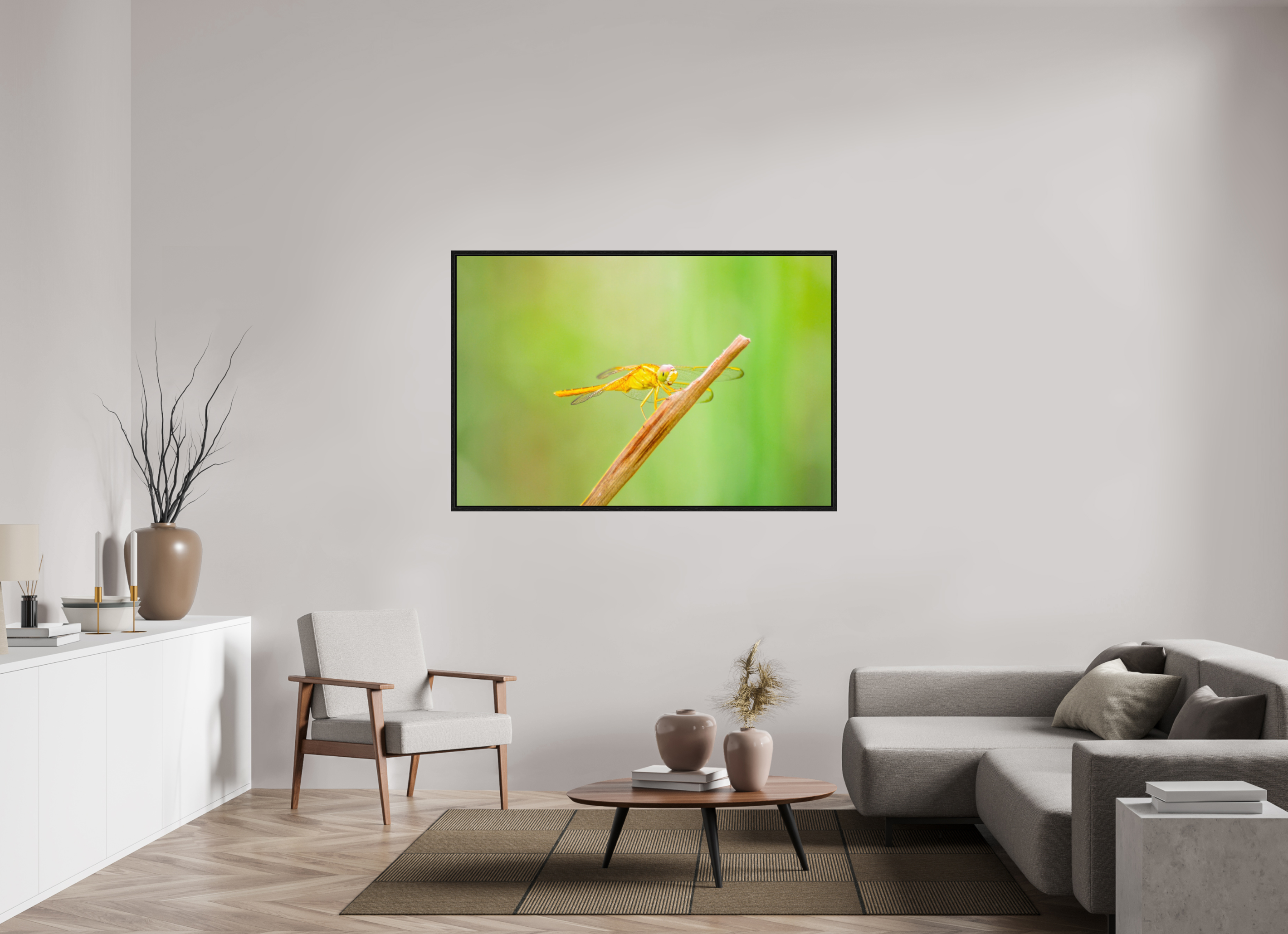 60 x 40″, Floater Frame, Basel 0.6", Black Oak, Glossy Acrylic Glass Sun-Drenched Golden Scarlet Skimmer