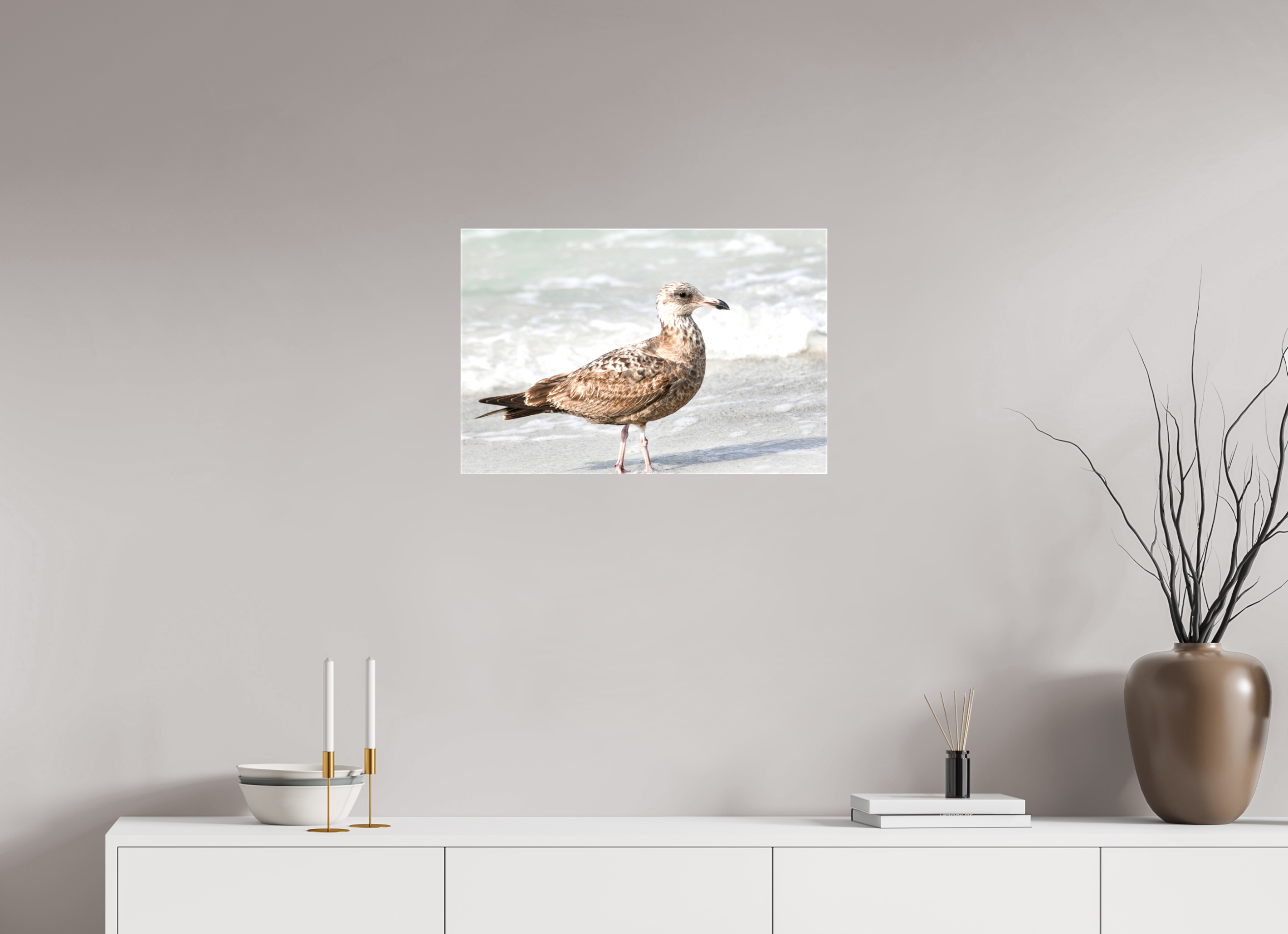 24 x 16″, Glossy Canvas on Stretcher Frame, 1,57" Wrapped The Young Explorer: Immature American Herring Gull