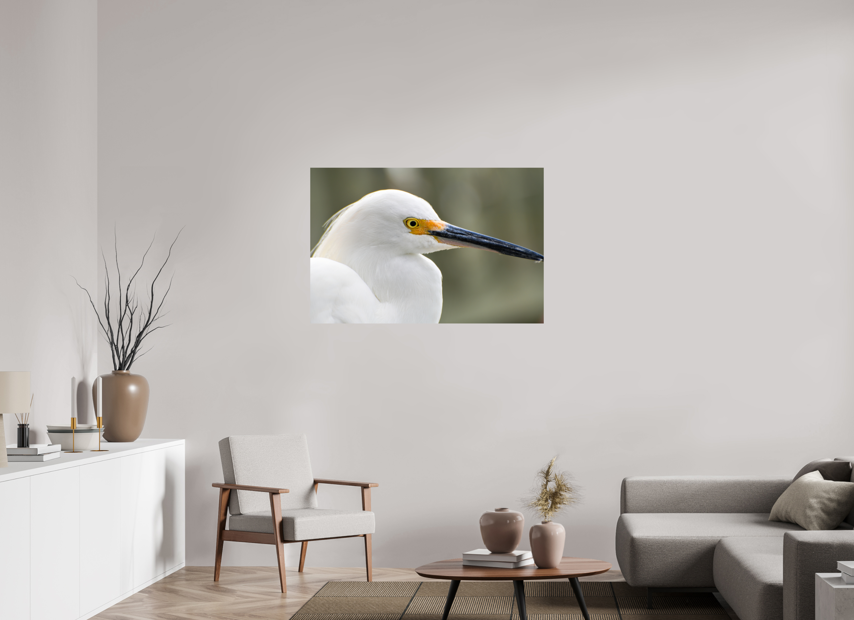 45 x 30″, Photo Print On Fuji Crystal DP II The White Plume: Snowy Egret Portrait
