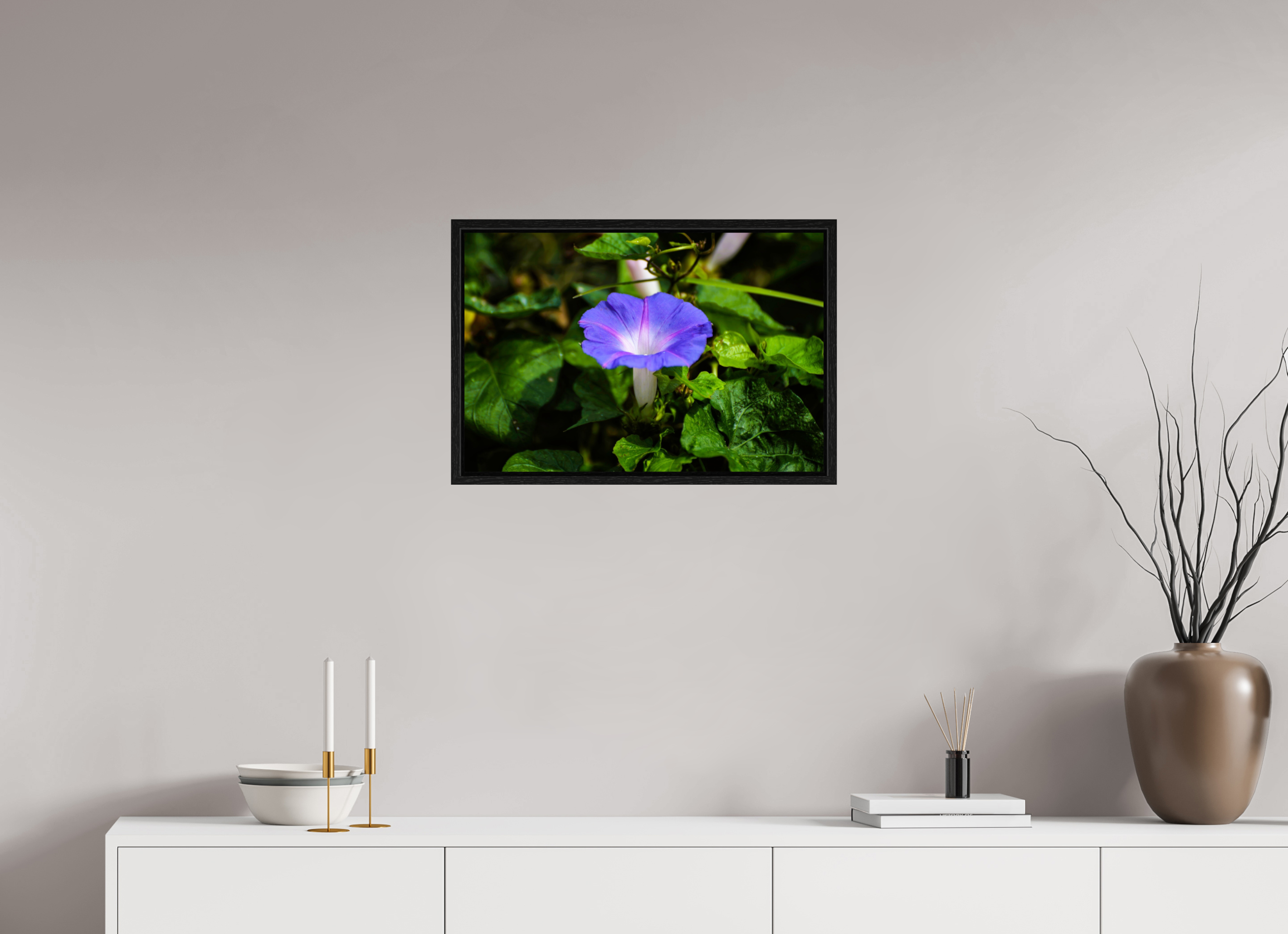 24 x 16″, Floater Frame, Basel 0.6", Black Oak, Glossy Acrylic Glass Heavenly Blue Morning Glory