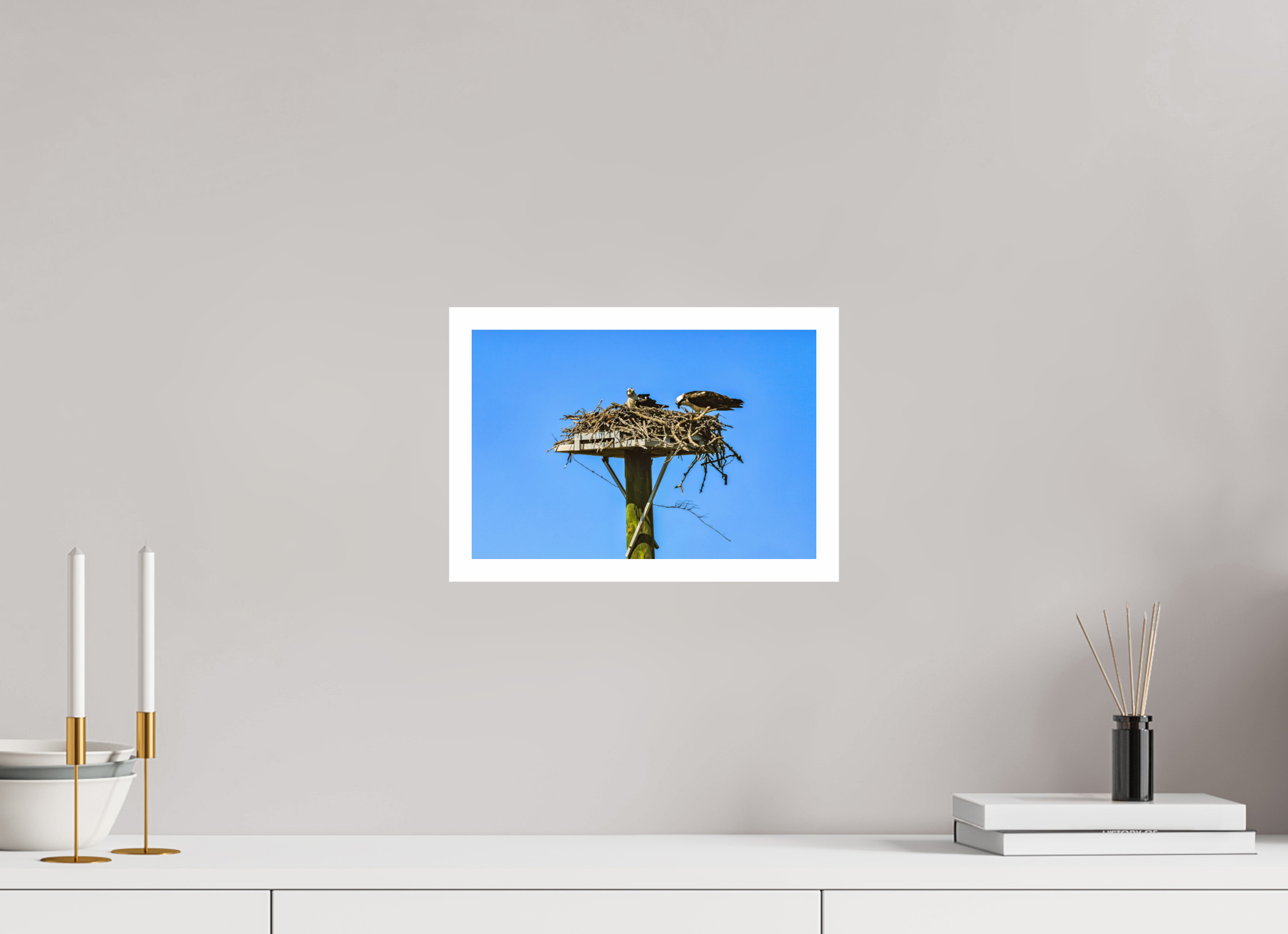 12 x 8″, Hahnemühle FineArt Pearl Print, .79" white border Osprey Outlook