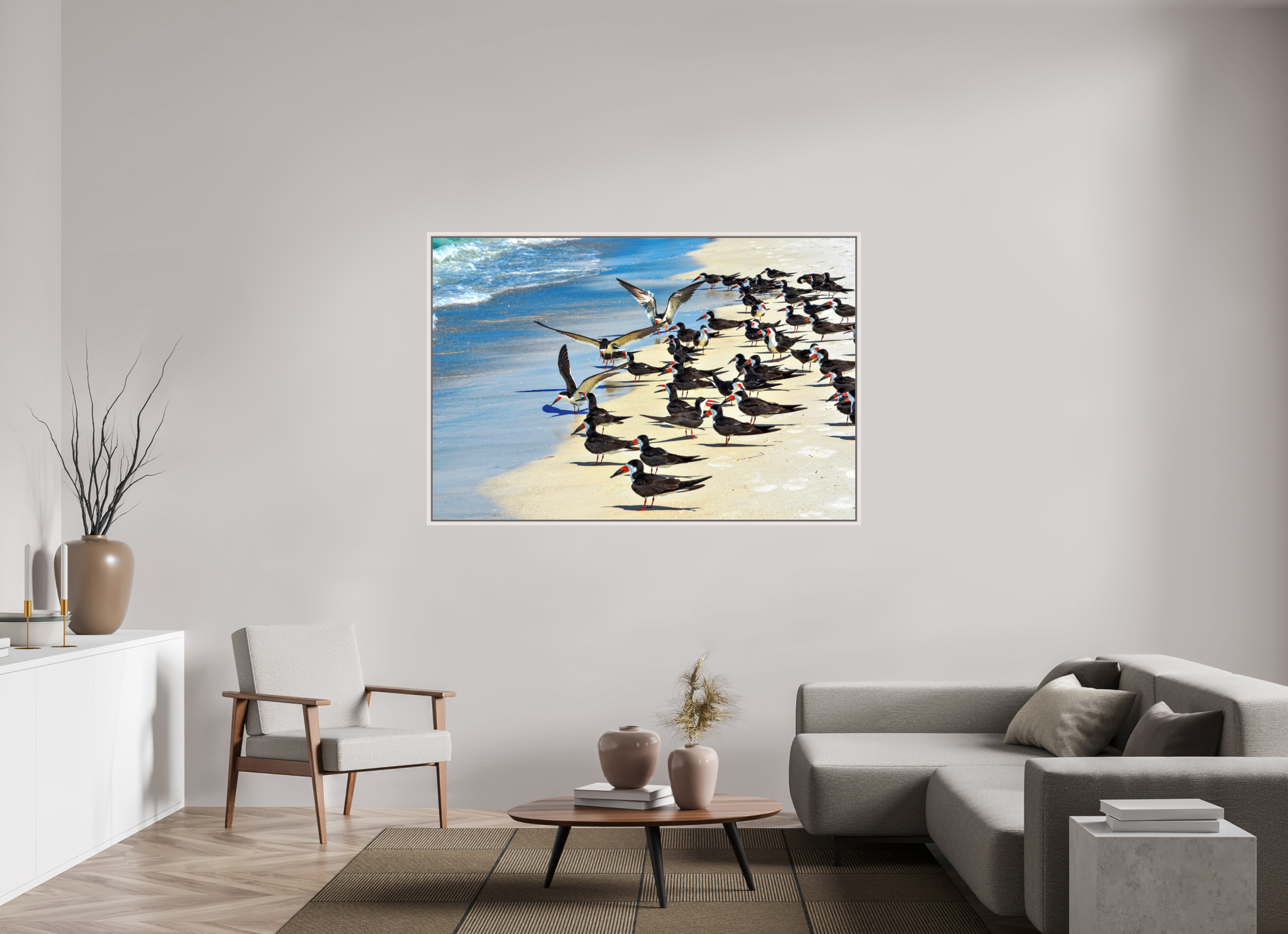 66 x 44″, Floater Frame, Basel 0.6", Maple White, Glossy Acrylic Glass Shoreline Social: Black Skimmer Colony