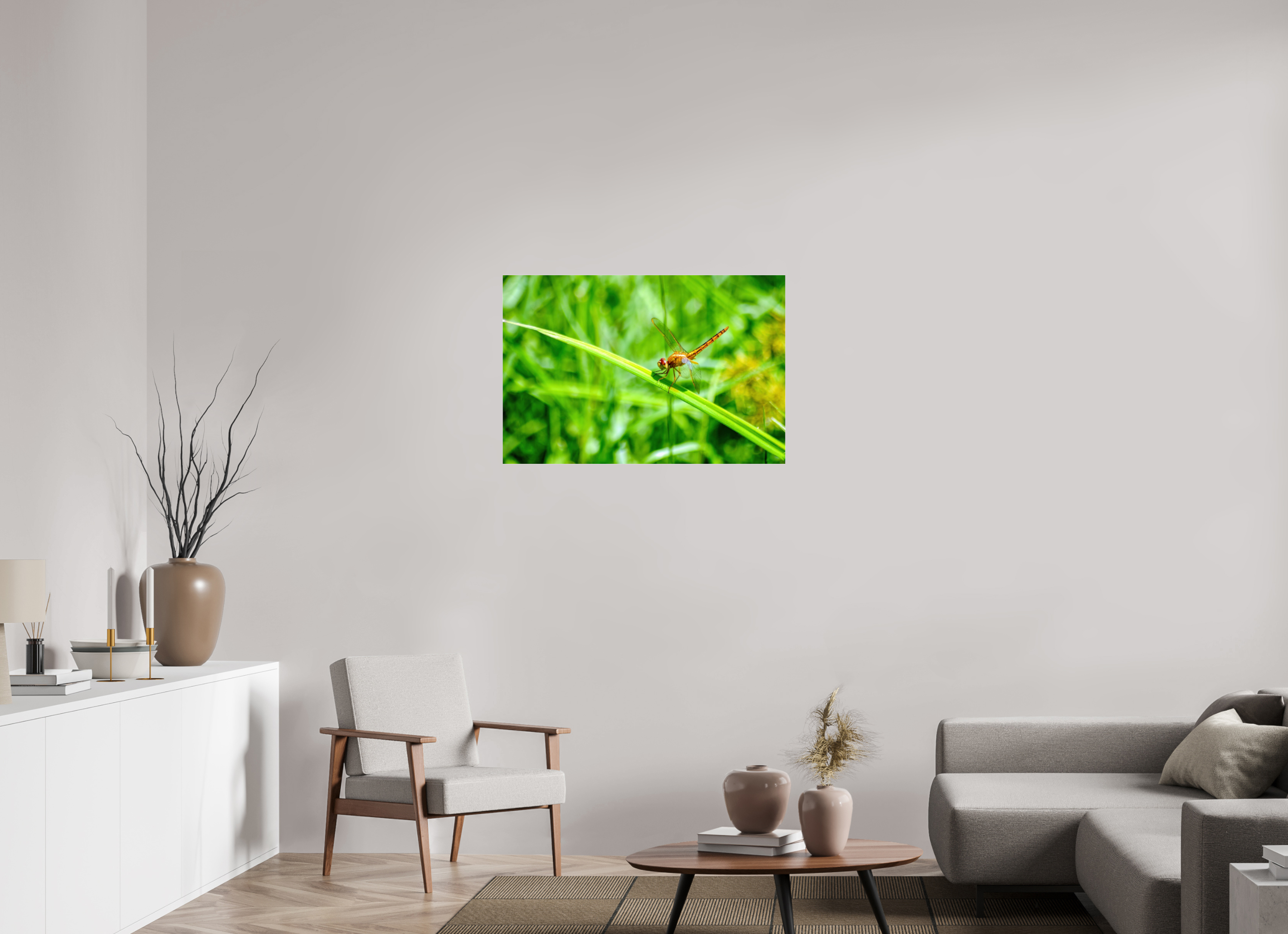 36 x 24″, Metallic Photo Print Under Acrylic Glass Female Scarlet Skimmer