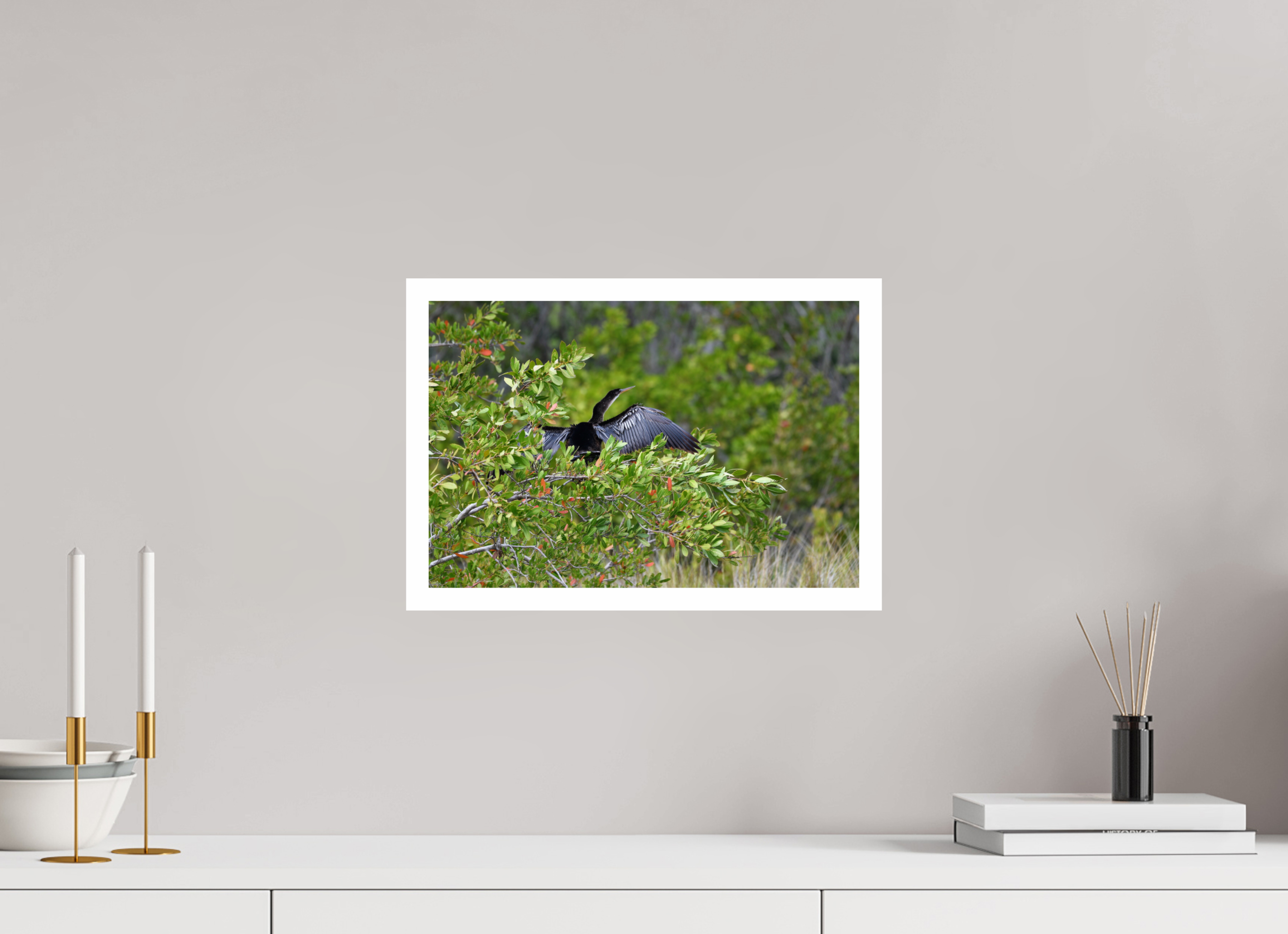 15 x 10″, Hahnemühle FineArt Pearl Print, .79" white border Florida Anhinga Sunning