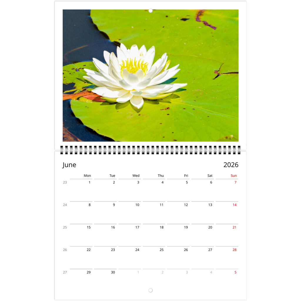 2508e090-836c-4421-a095-4915b3cb2caa