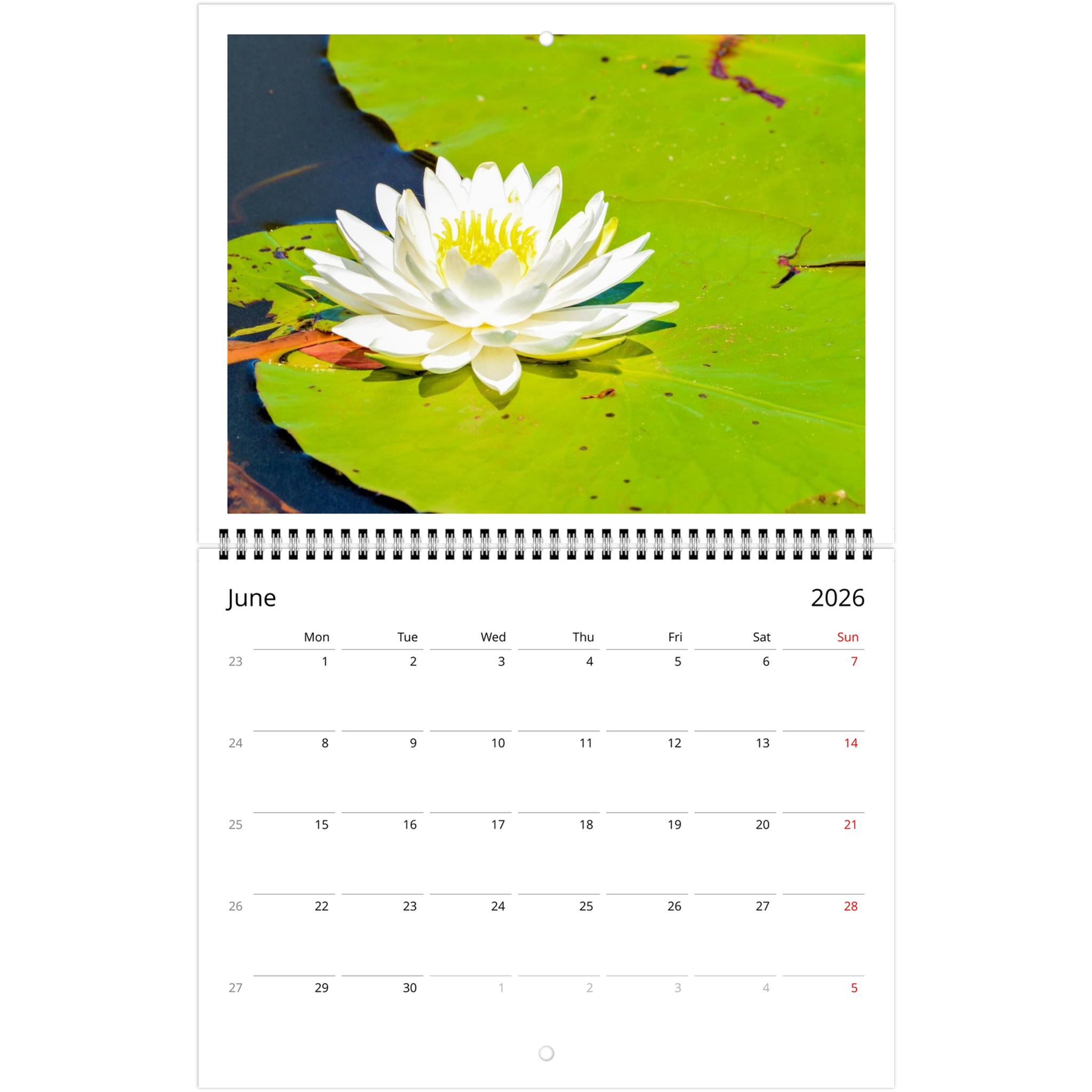 2508e090-836c-4421-a095-4915b3cb2caa