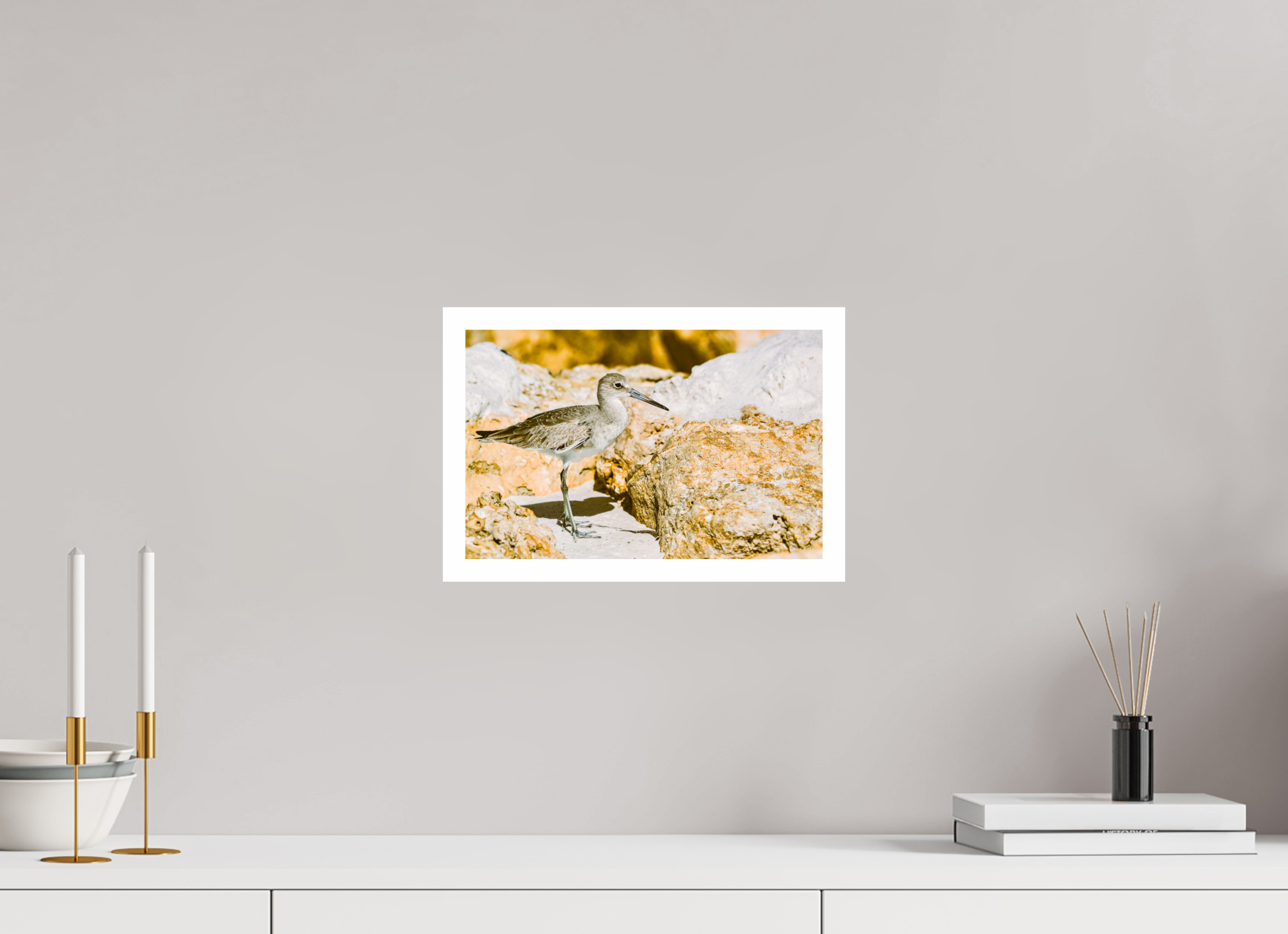 12.4 x 8″, Hahnemühle FineArt Pearl Print, .79" white border The Sunny Willet