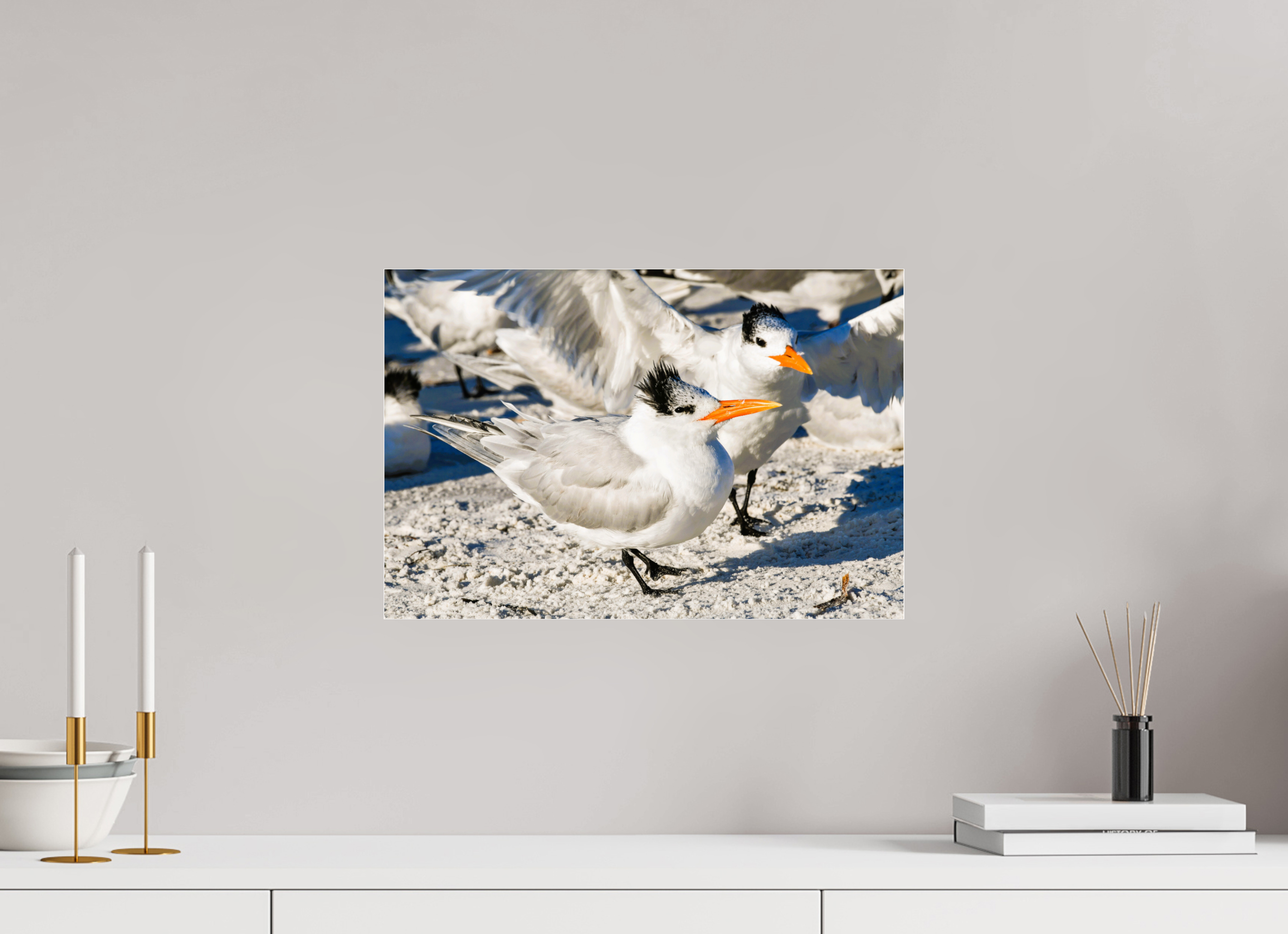 17.8 x 12″, Metallic Photo Print Under Acrylic Glass Coastal Royalty