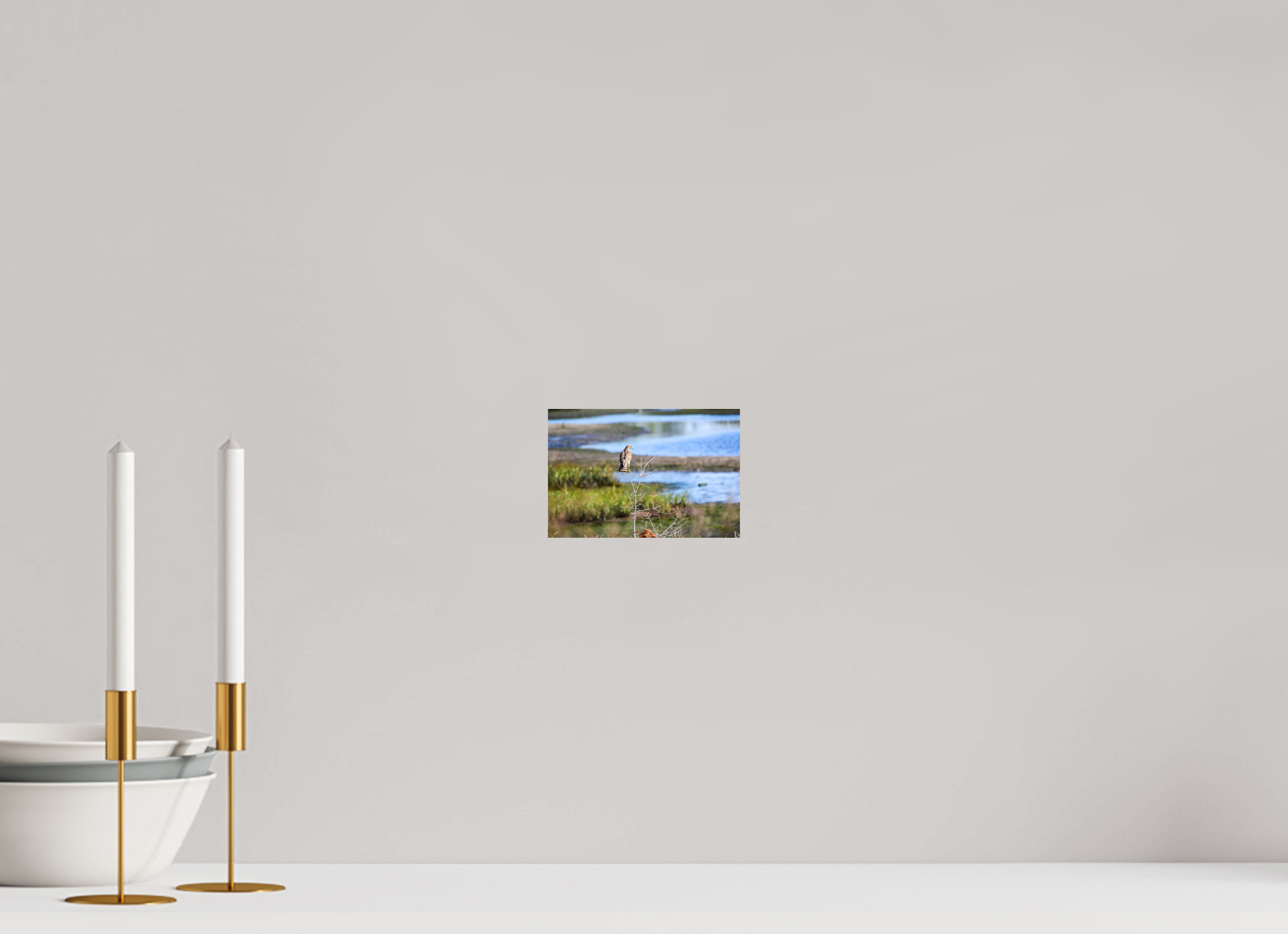 6 x 4″, Photo Print On Fuji Crystal DP II Guardian of the Marsh