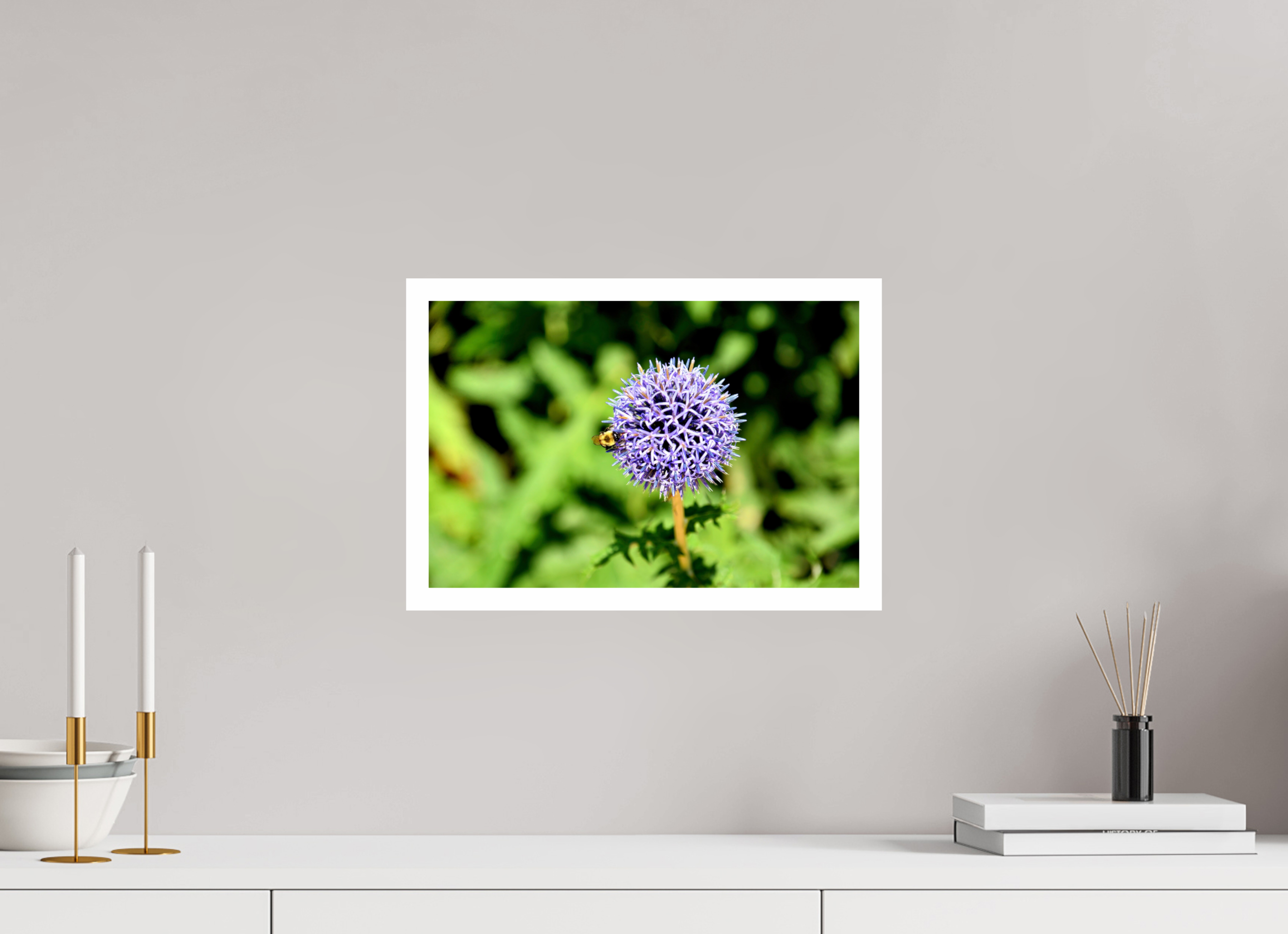 15 x 10″, Hahnemühle FineArt Pearl Print, .79" white border The Bee & The Globe Thistle (Echinops)